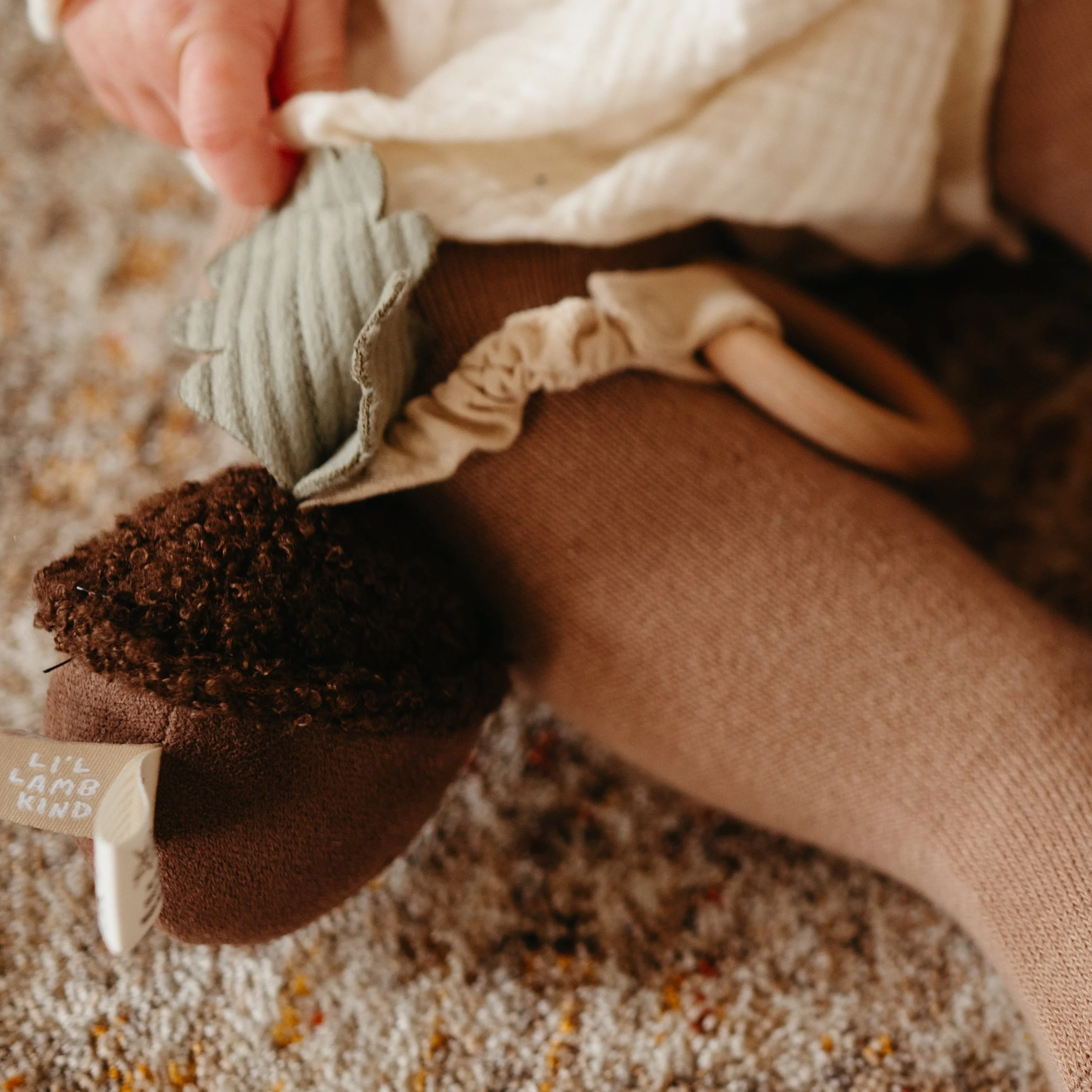 ACORN - Image 4