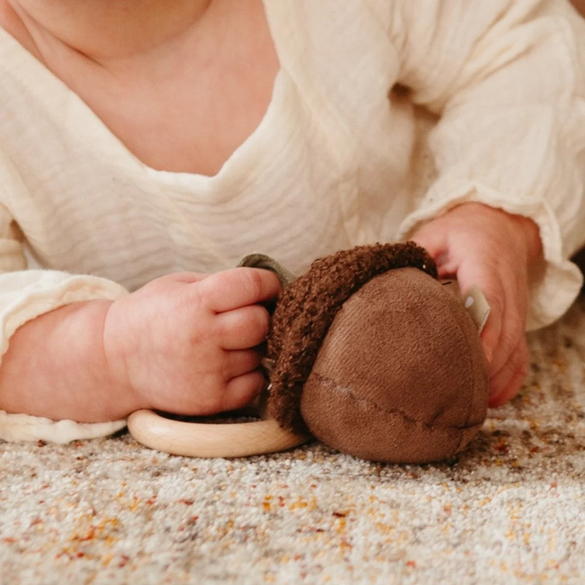 ACORN - Image 7