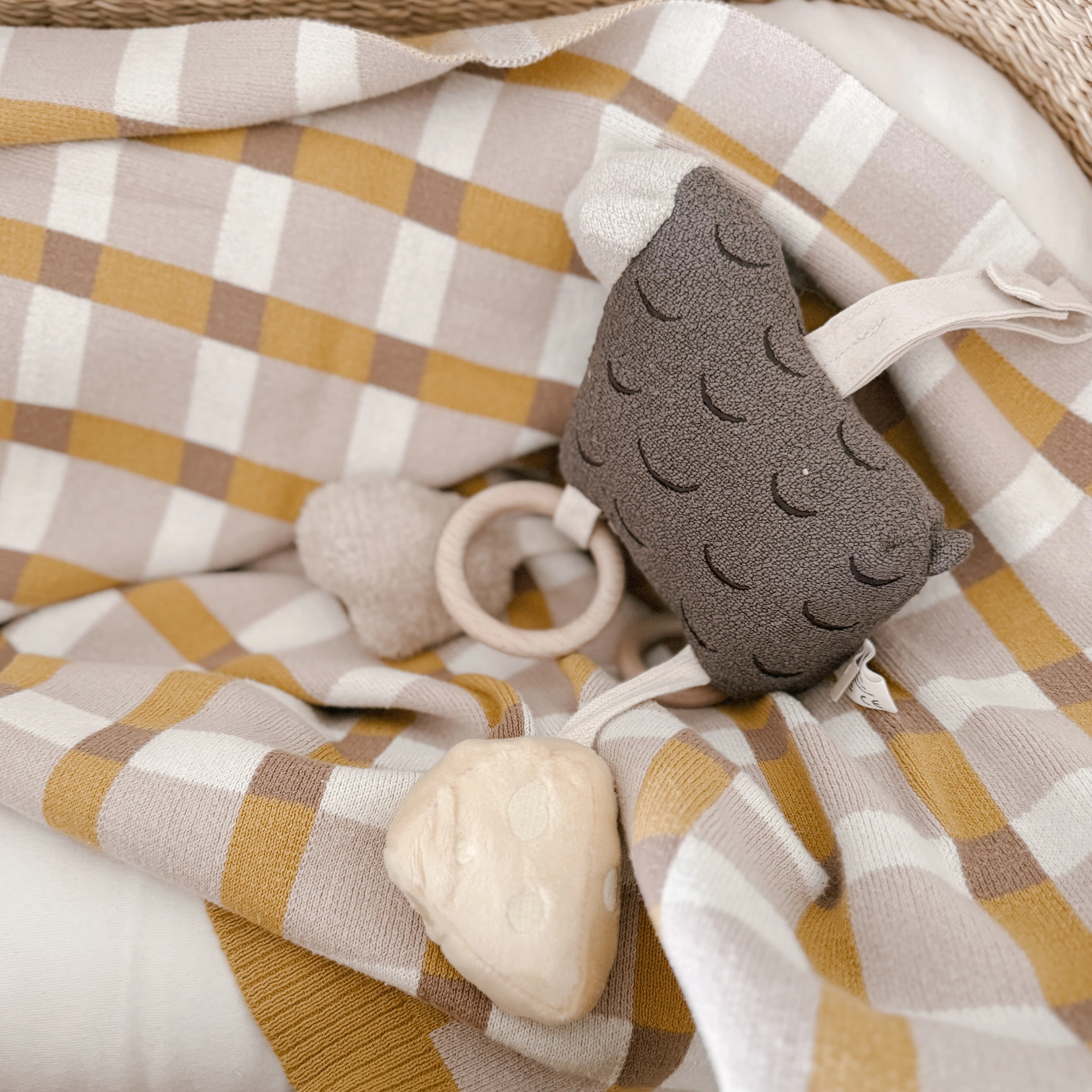 MY BAA BAA - Image 6