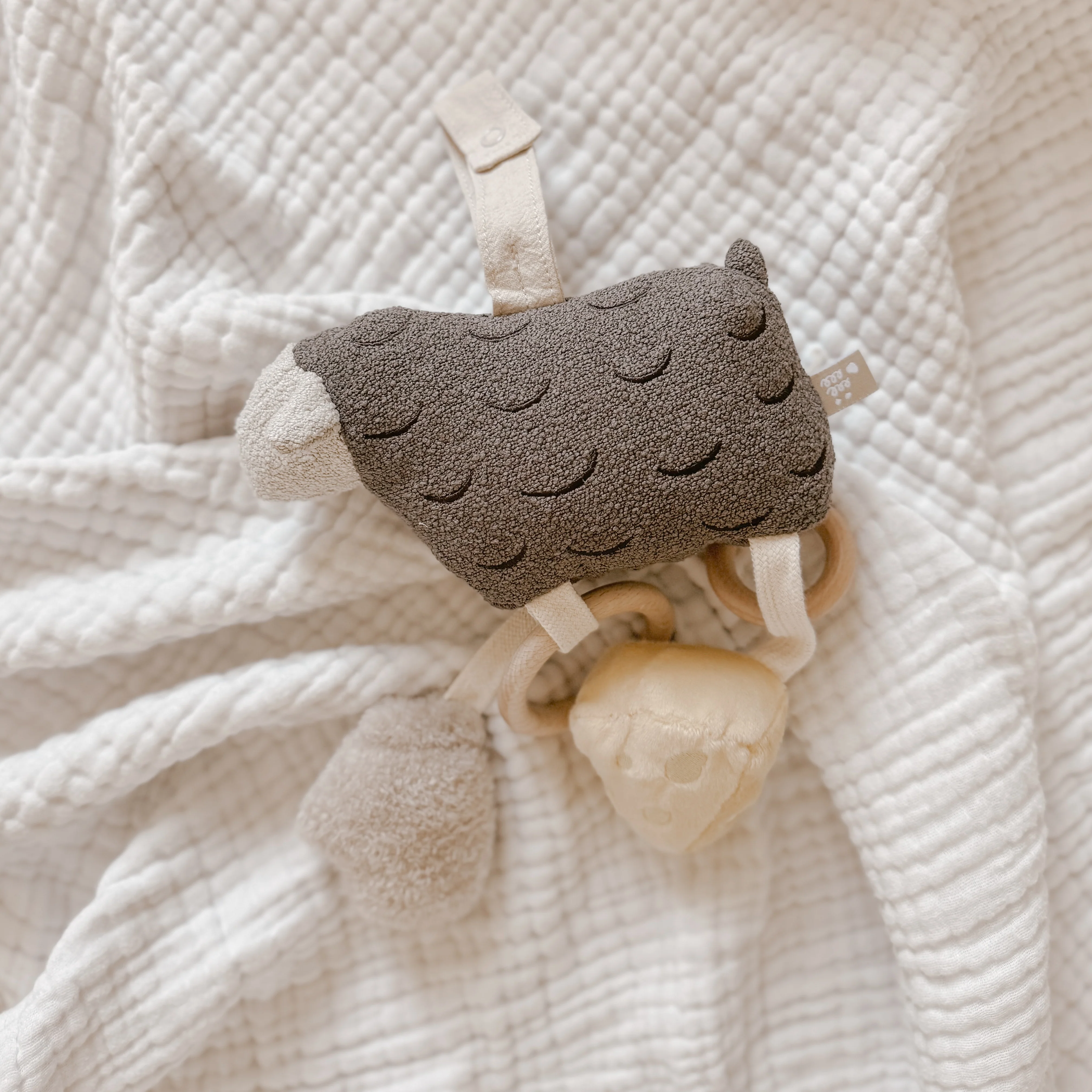 MY BAA BAA - Image 7
