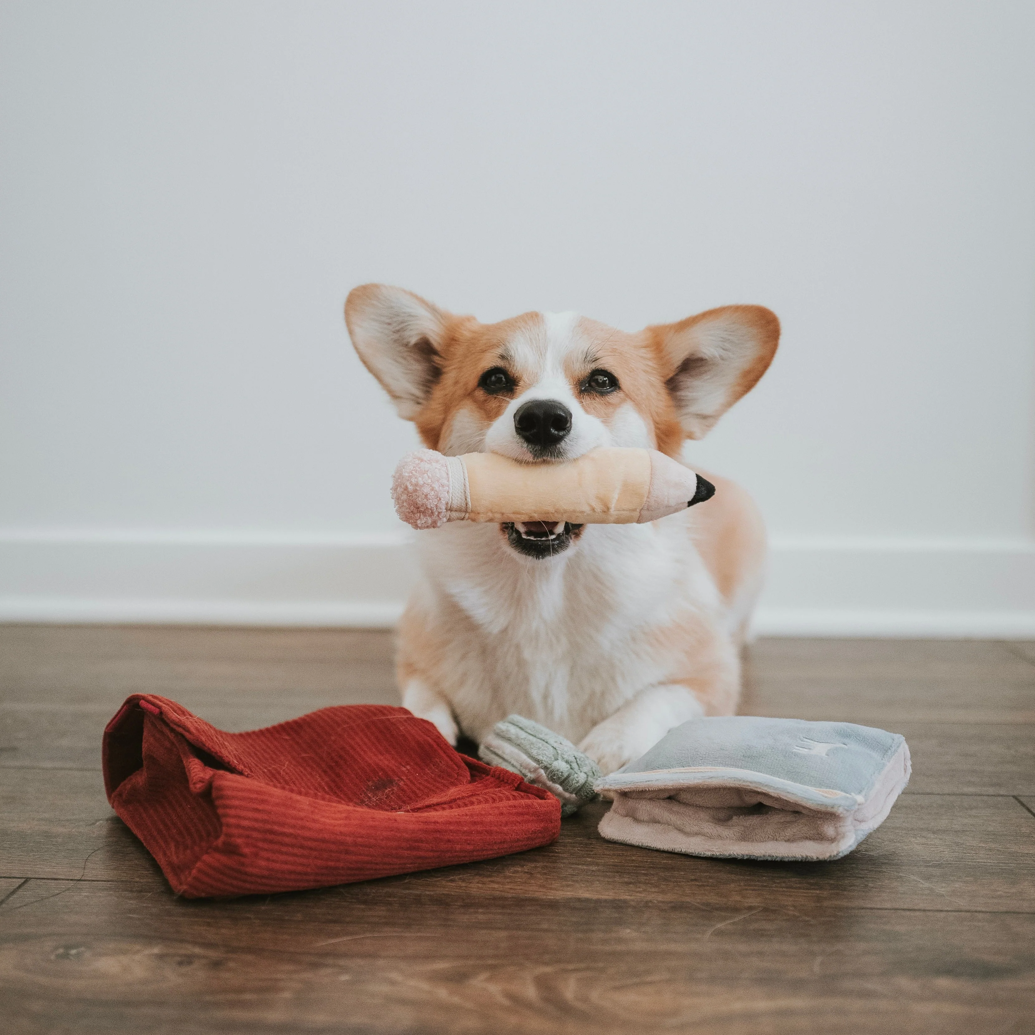 BACK TO SCHOOL - Image 13