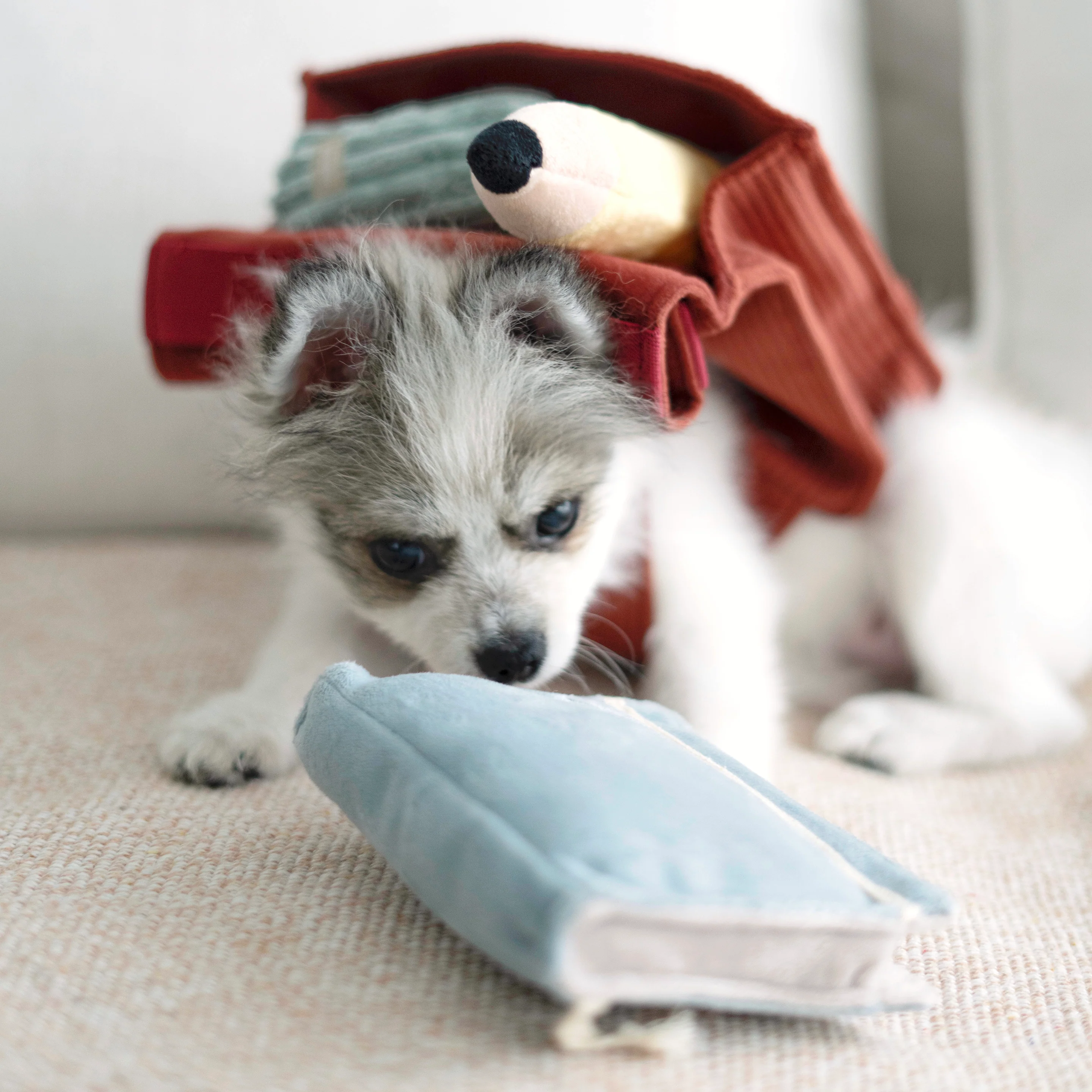 BACK TO SCHOOL - Image 16