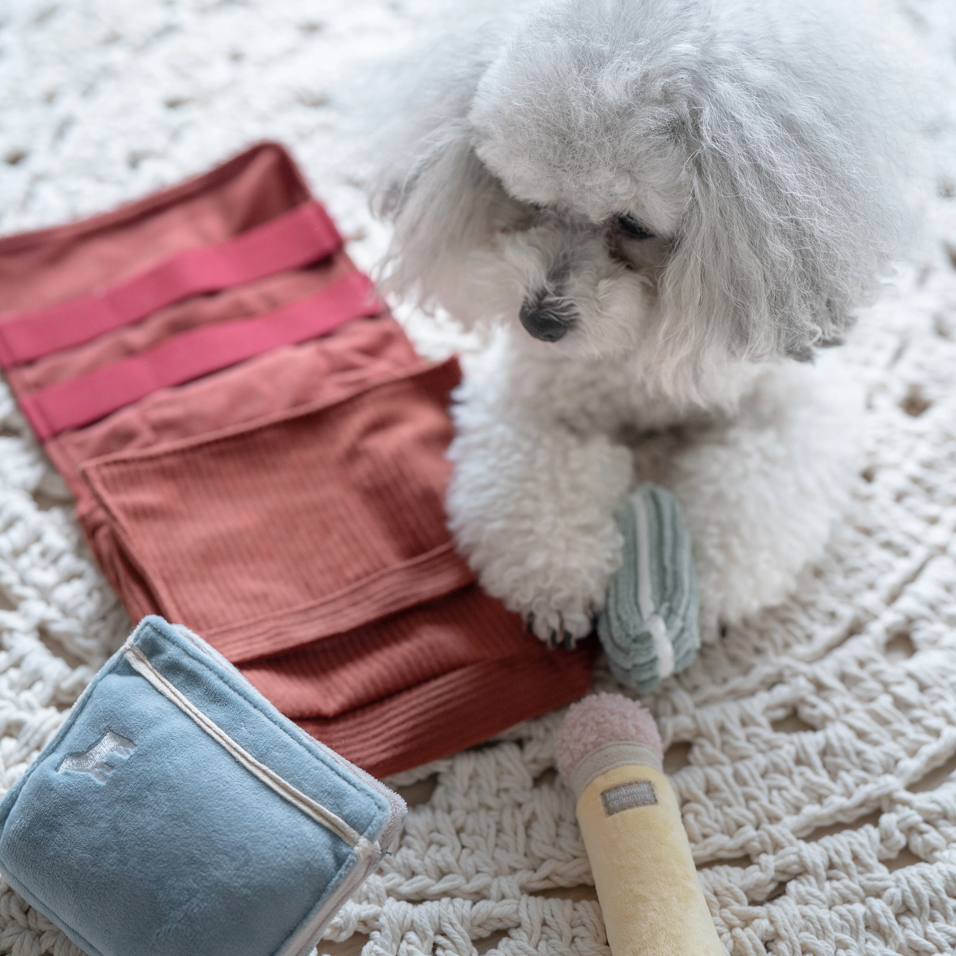 BACK TO SCHOOL - Image 22