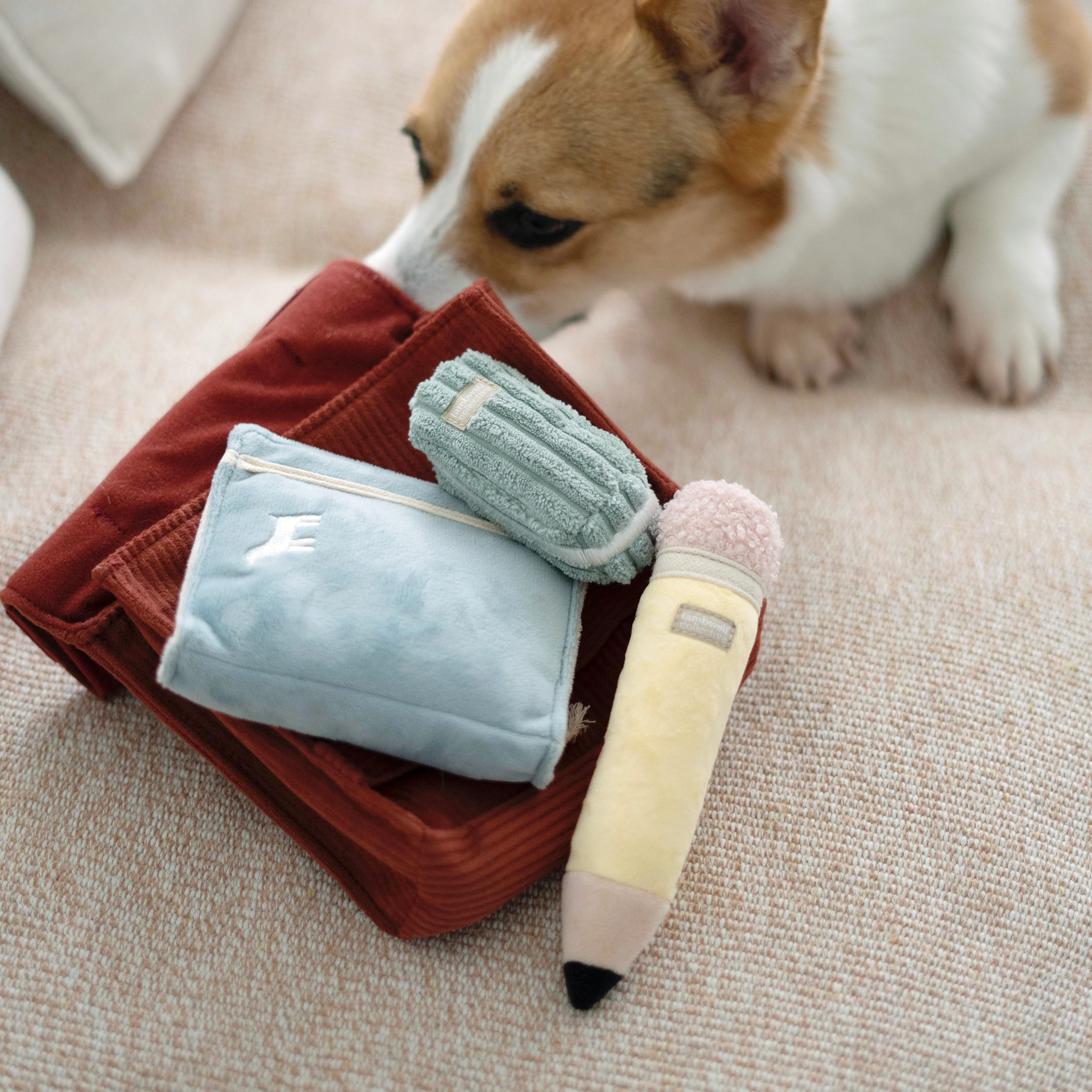 BACK TO SCHOOL - Image 5