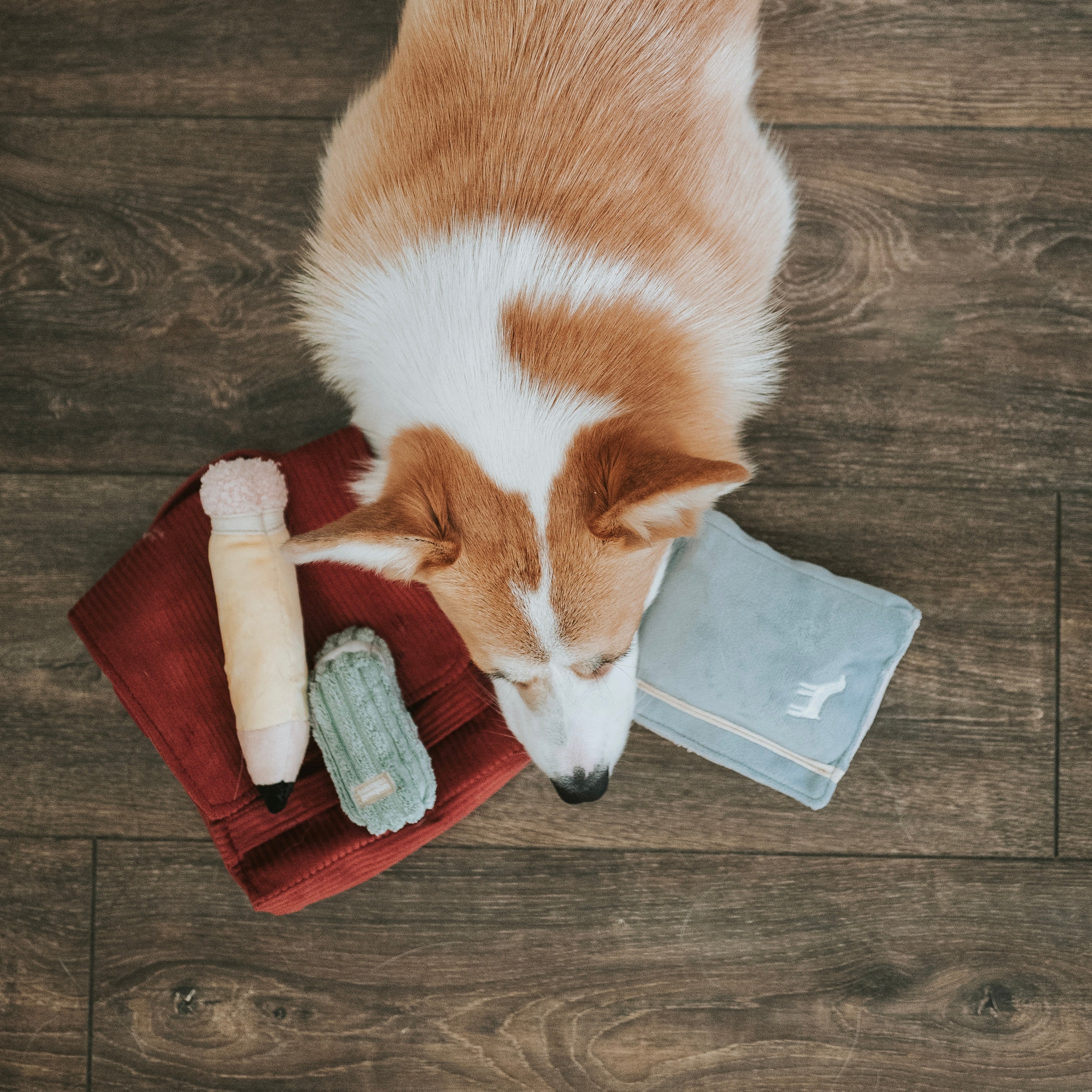 BACK TO SCHOOL - Image 8
