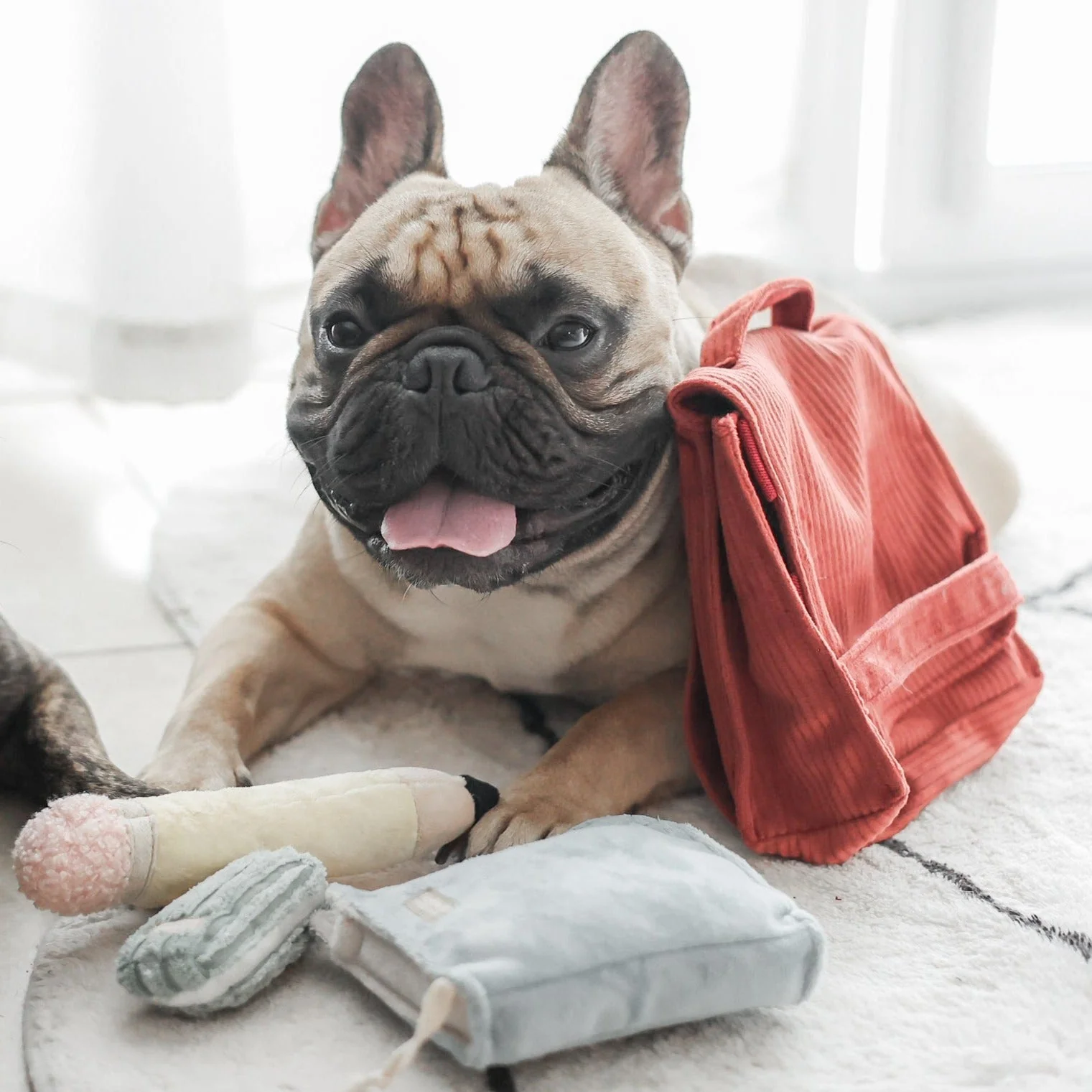 BACK TO SCHOOL - Image 9