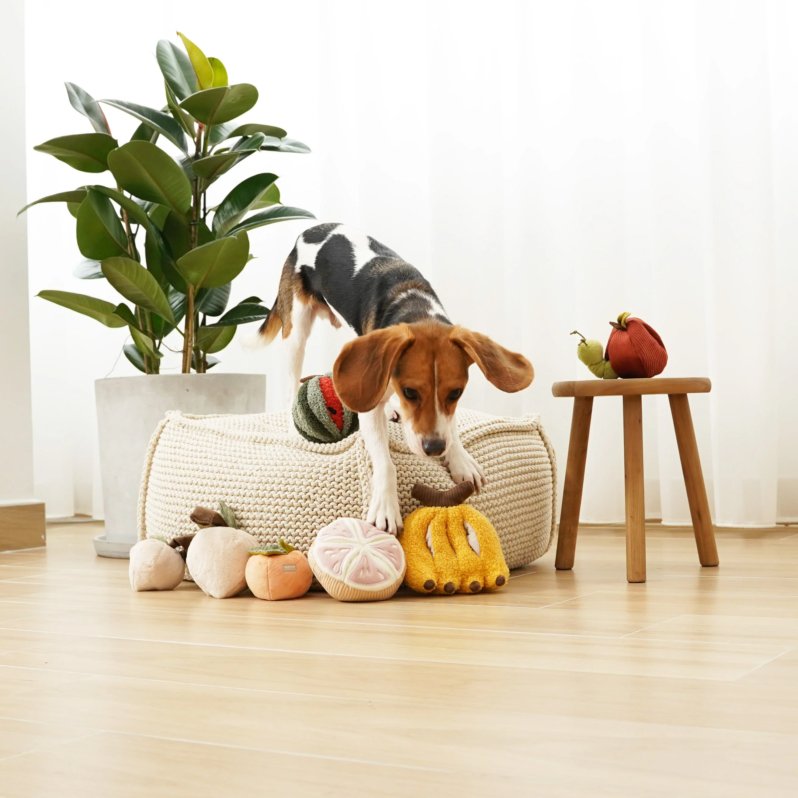 BANANA - Image 10
