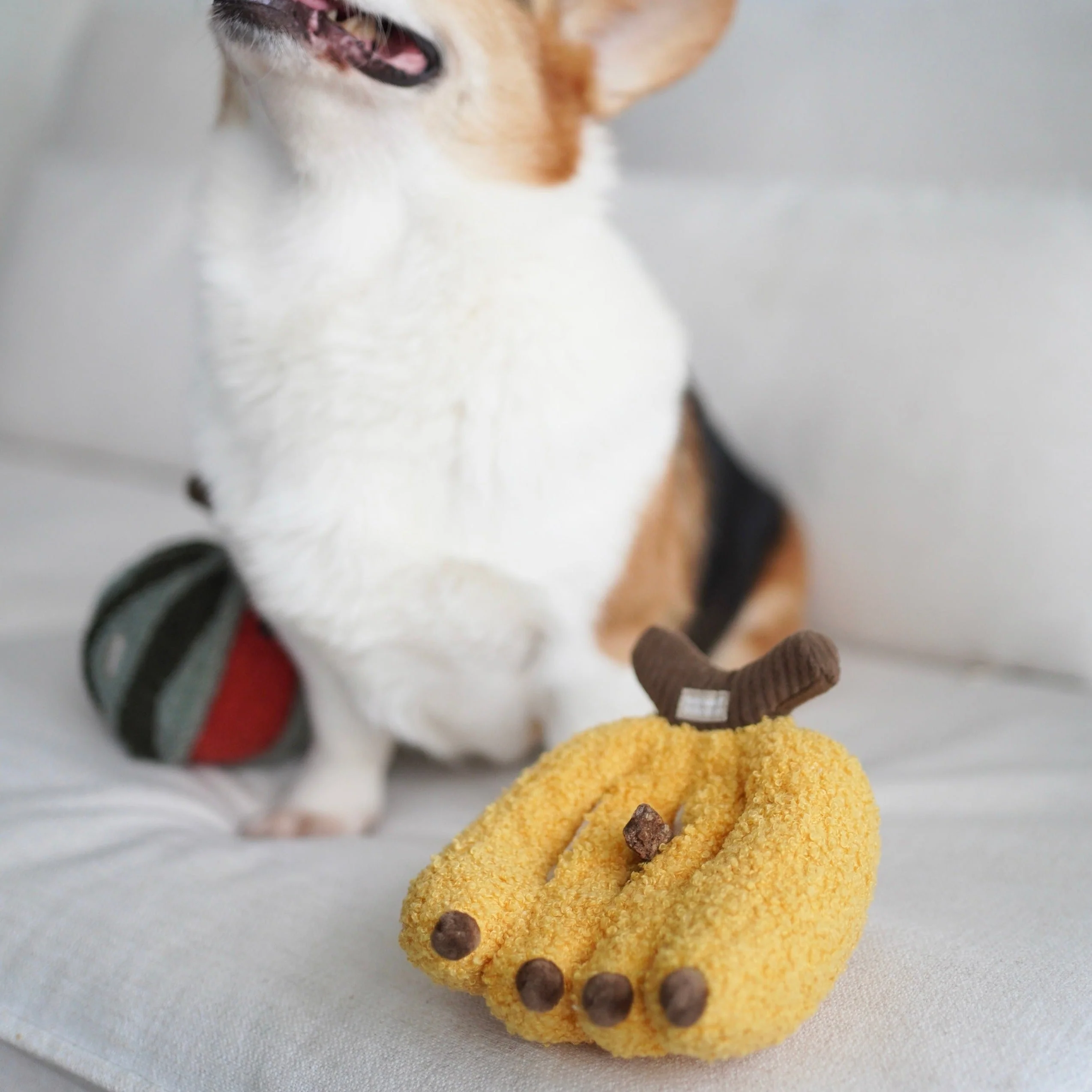 BANANA - Image 7