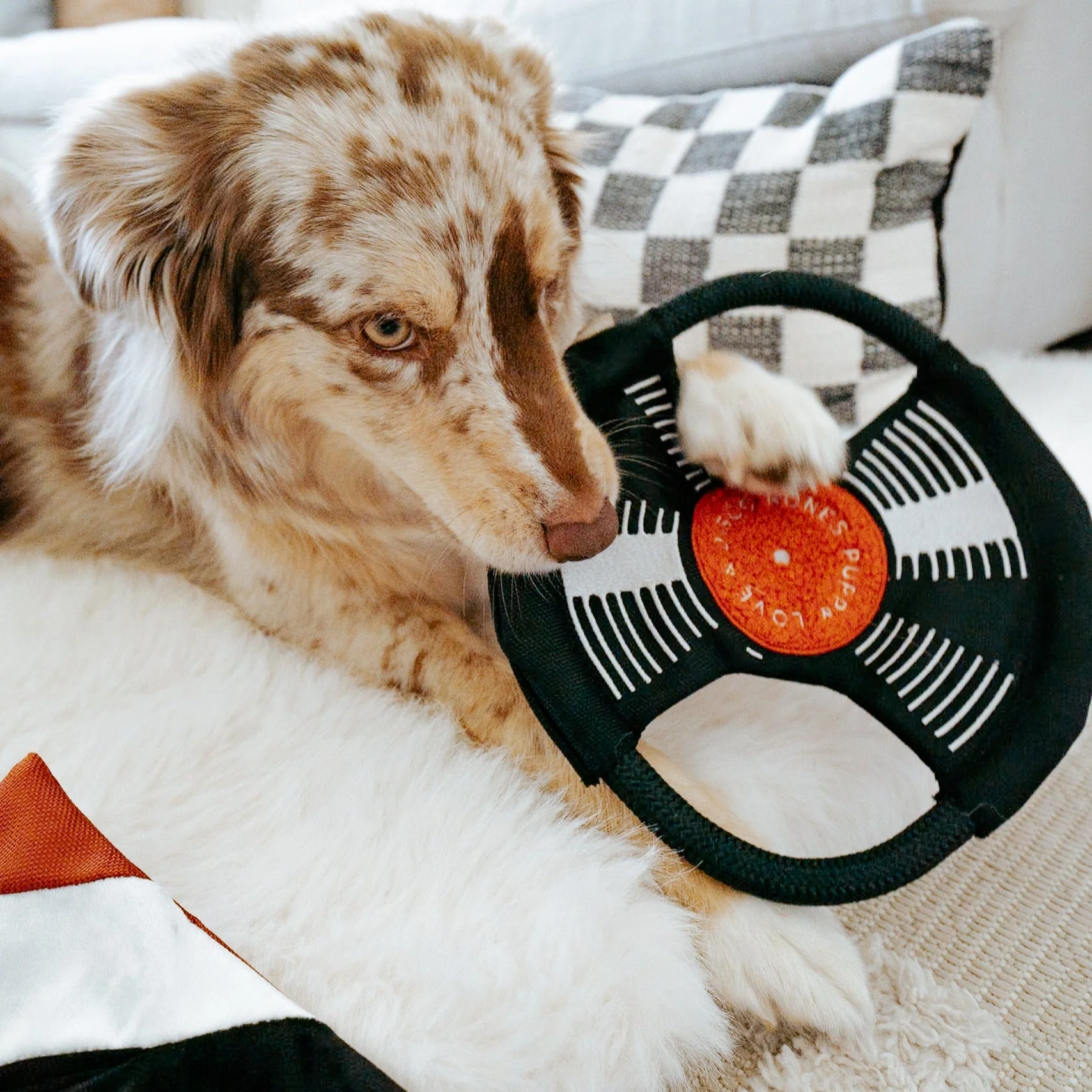 Bark To Beat - Image 3