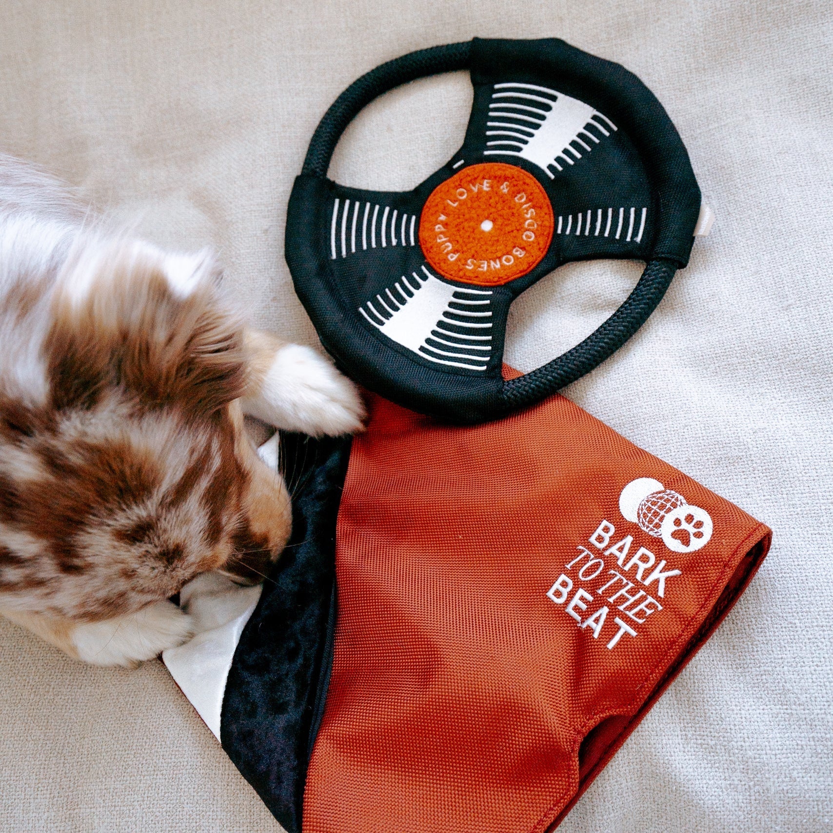 Bark To Beat - Image 4