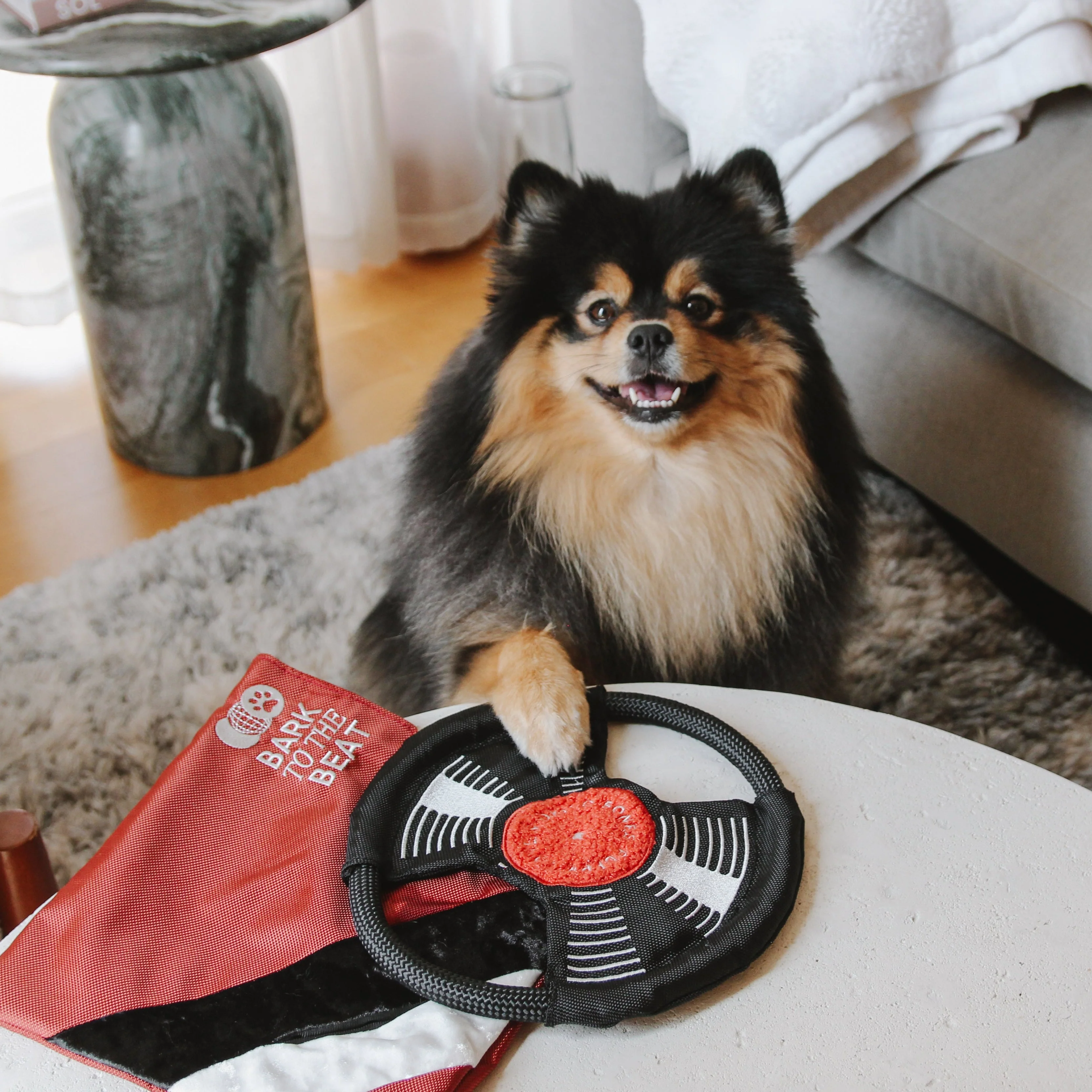 Bark To Beat - Image 5