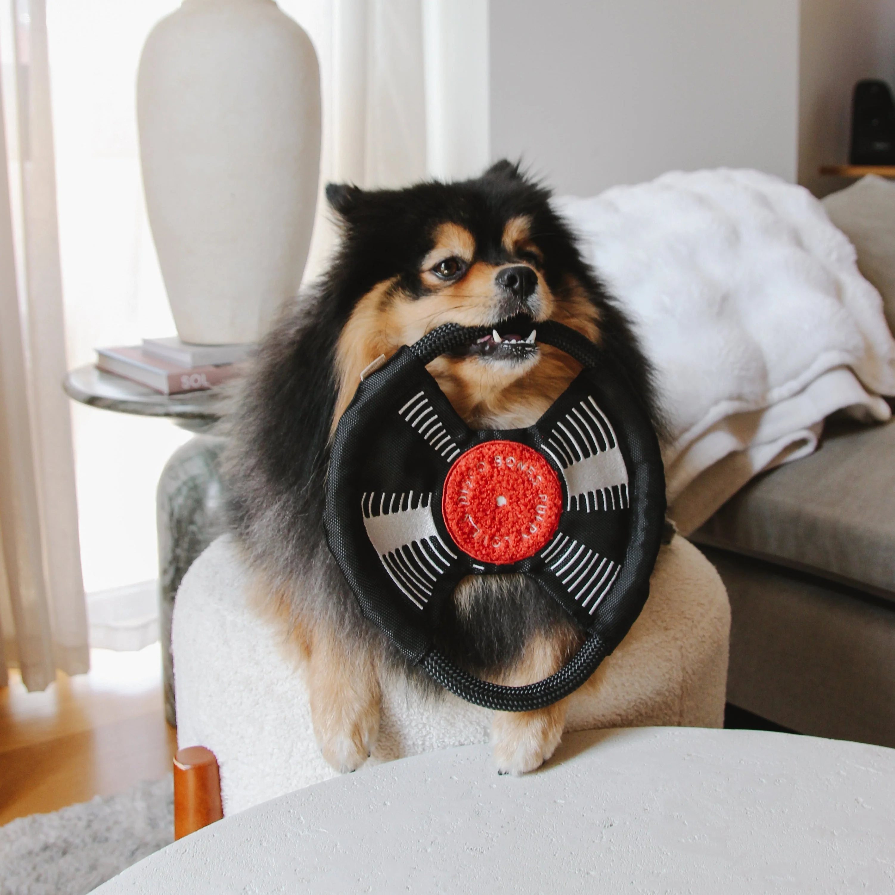 Bark To Beat - Image 6