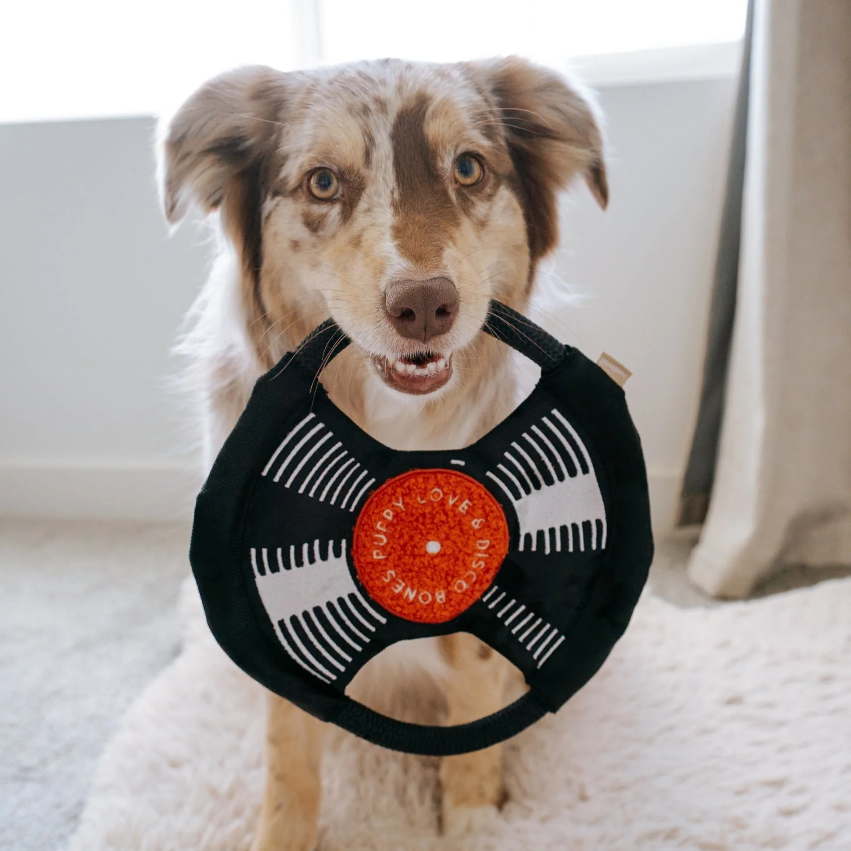 Bark To Beat - Image 7