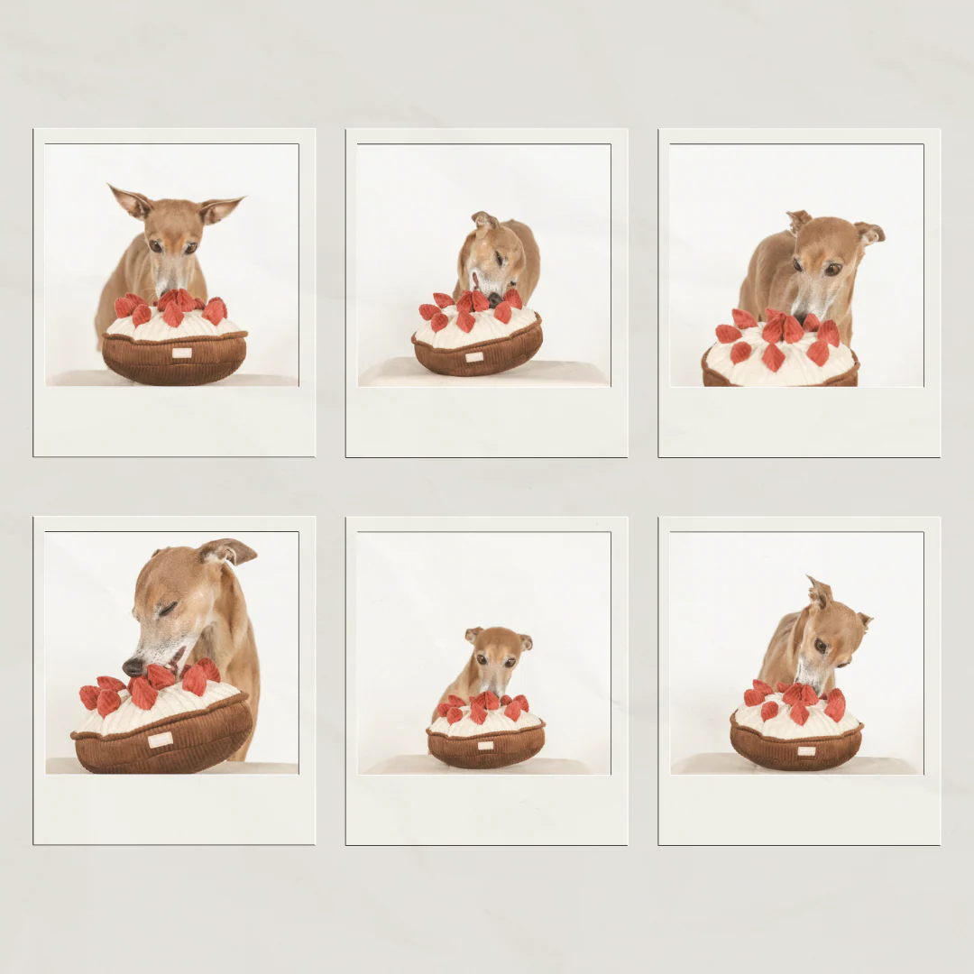 BERRY PIE - Image 10