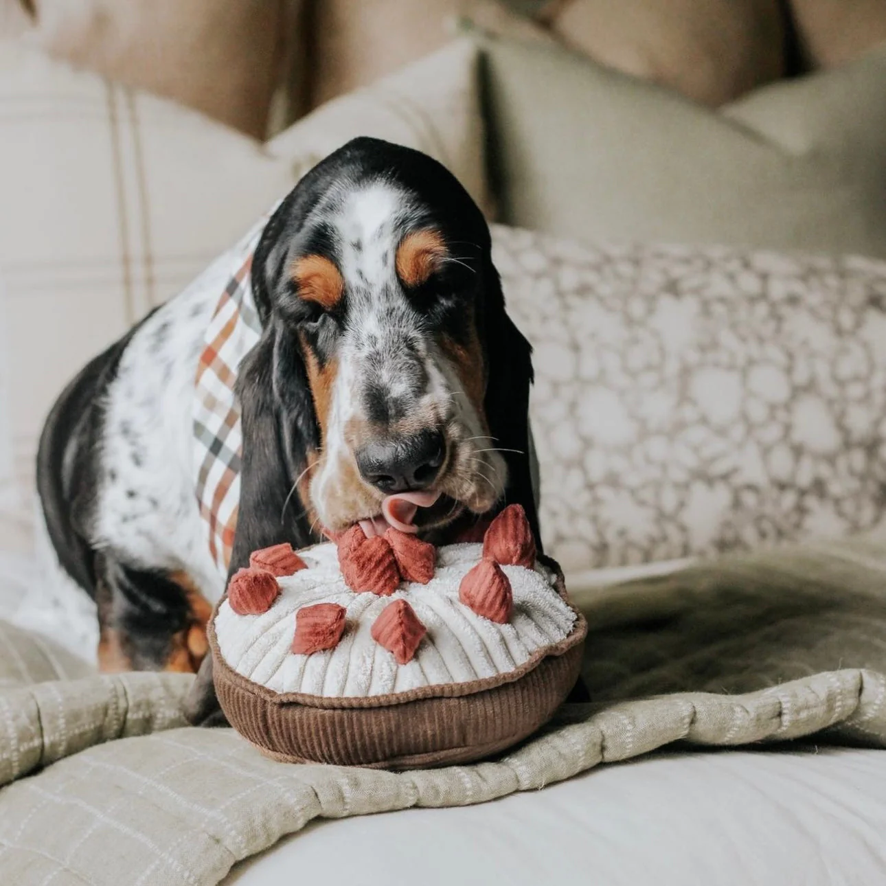 BERRY PIE - Image 3
