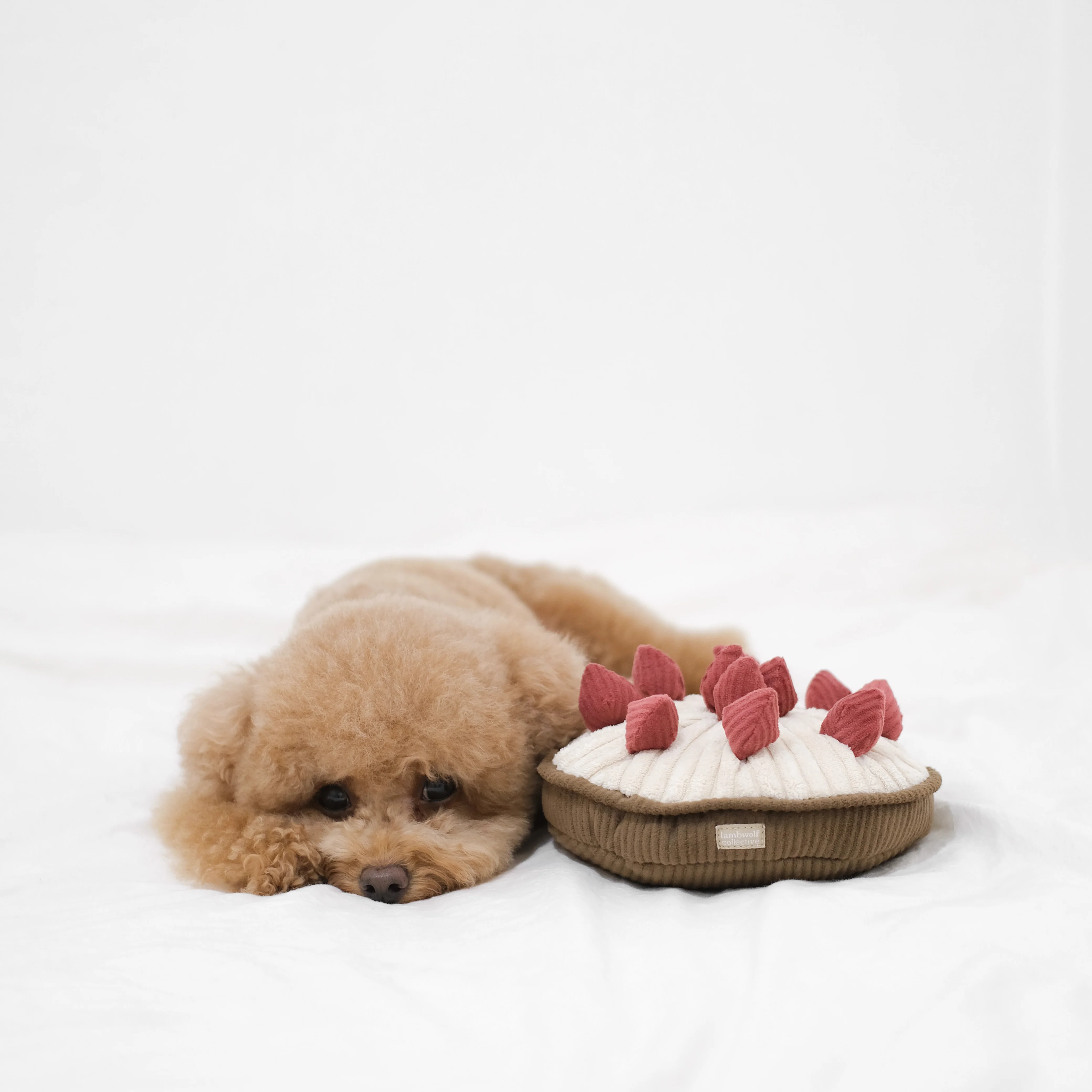 BERRY PIE - Image 5