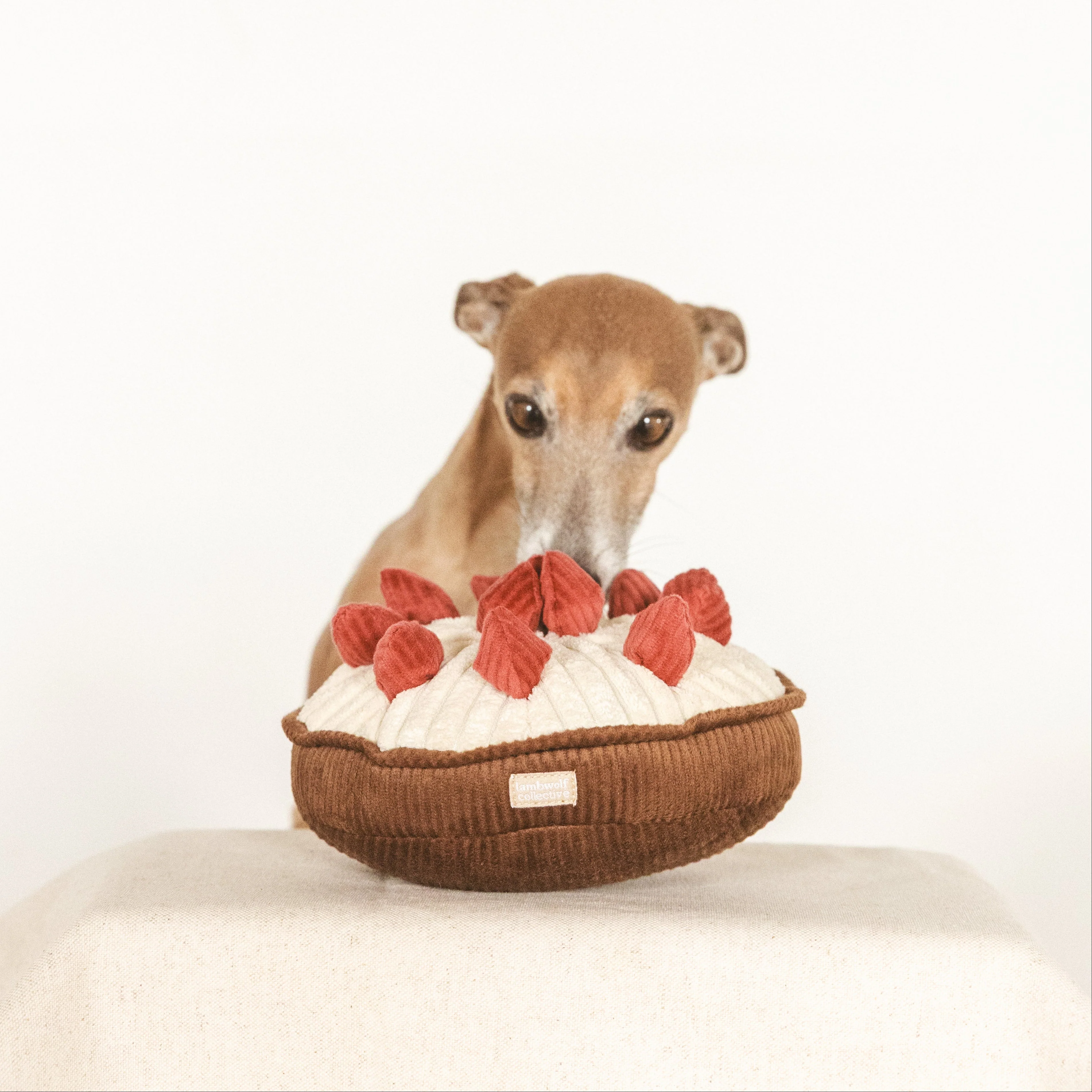 BERRY PIE - Image 6
