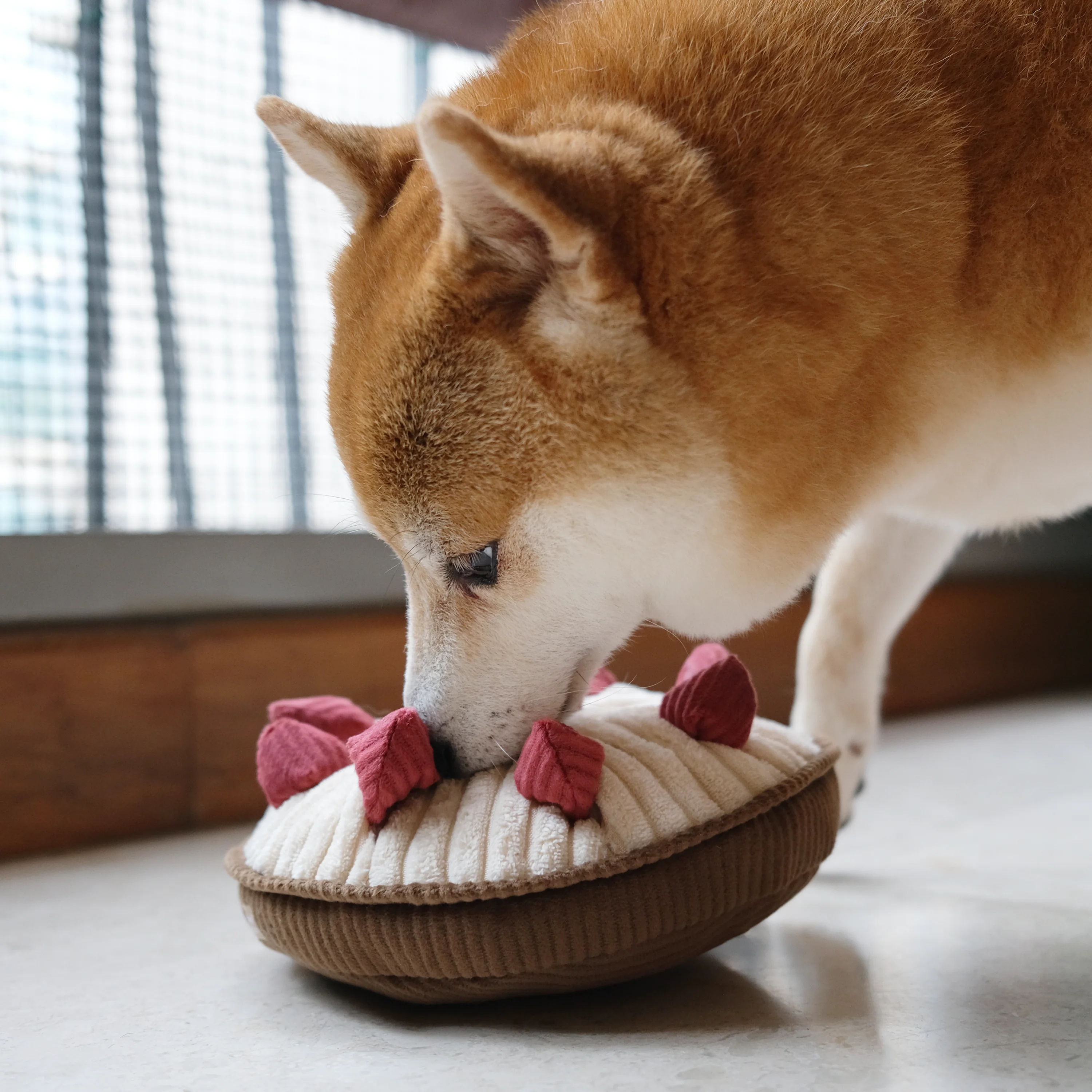 BERRY PIE - Image 7