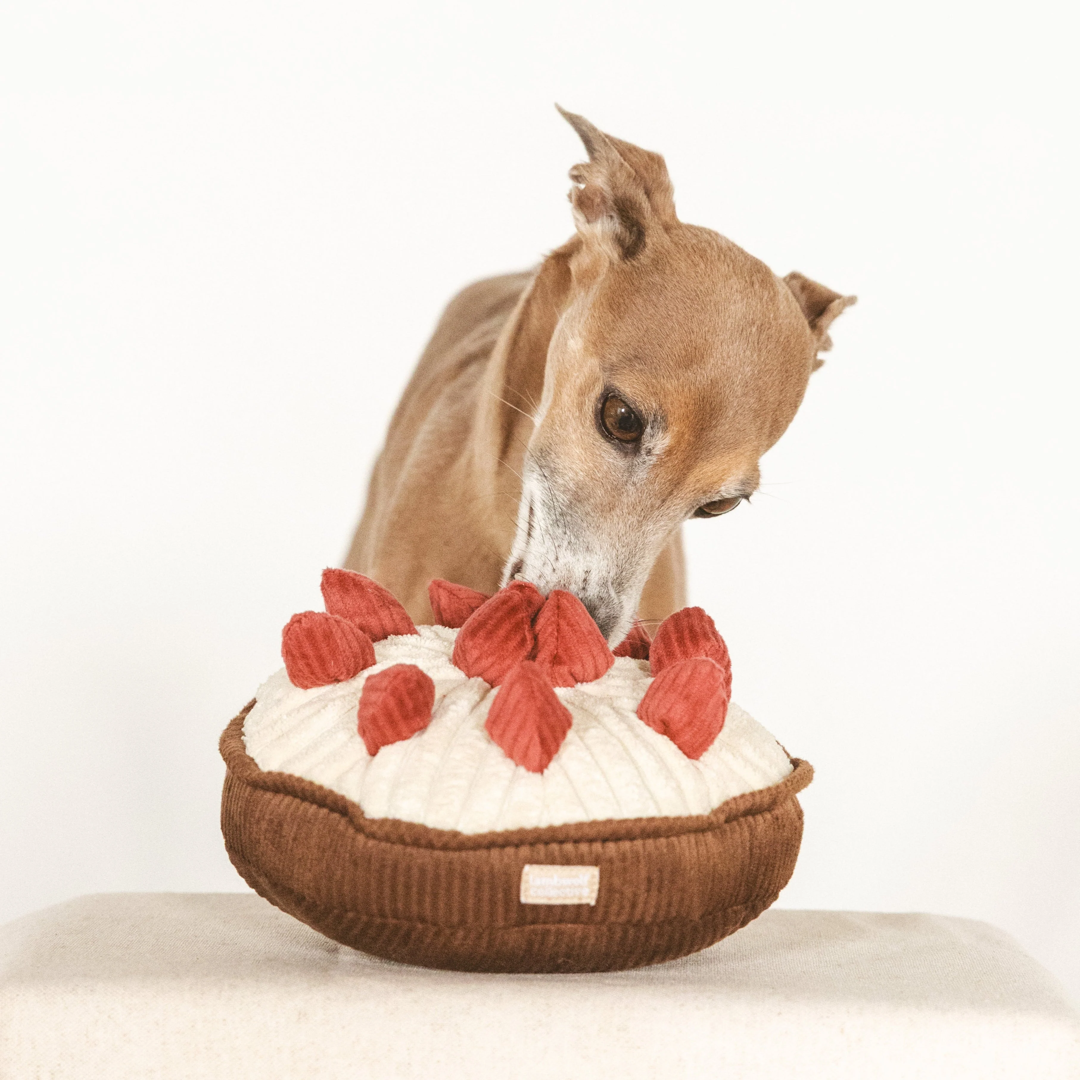 BERRY PIE - Image 8