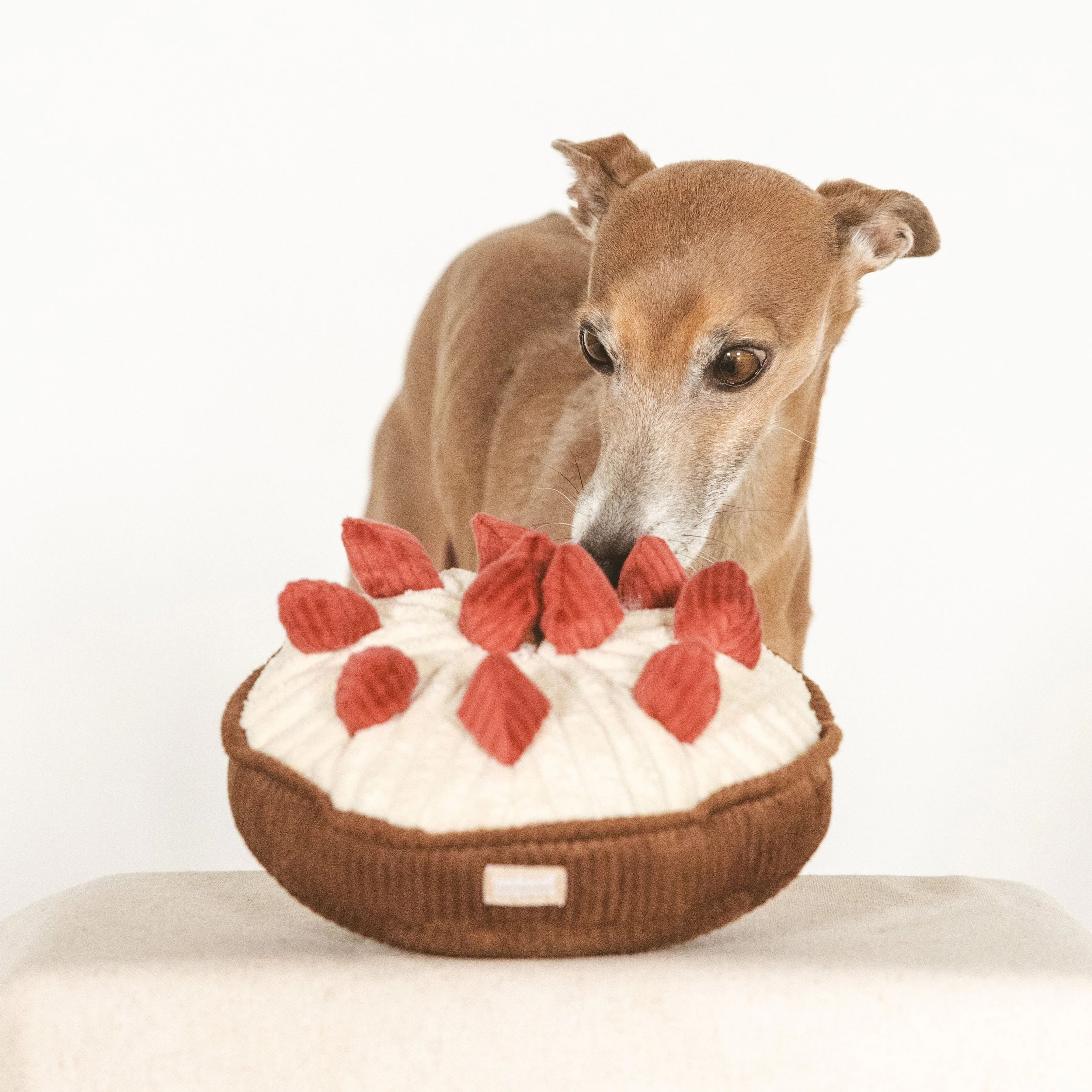 BERRY PIE - Image 9