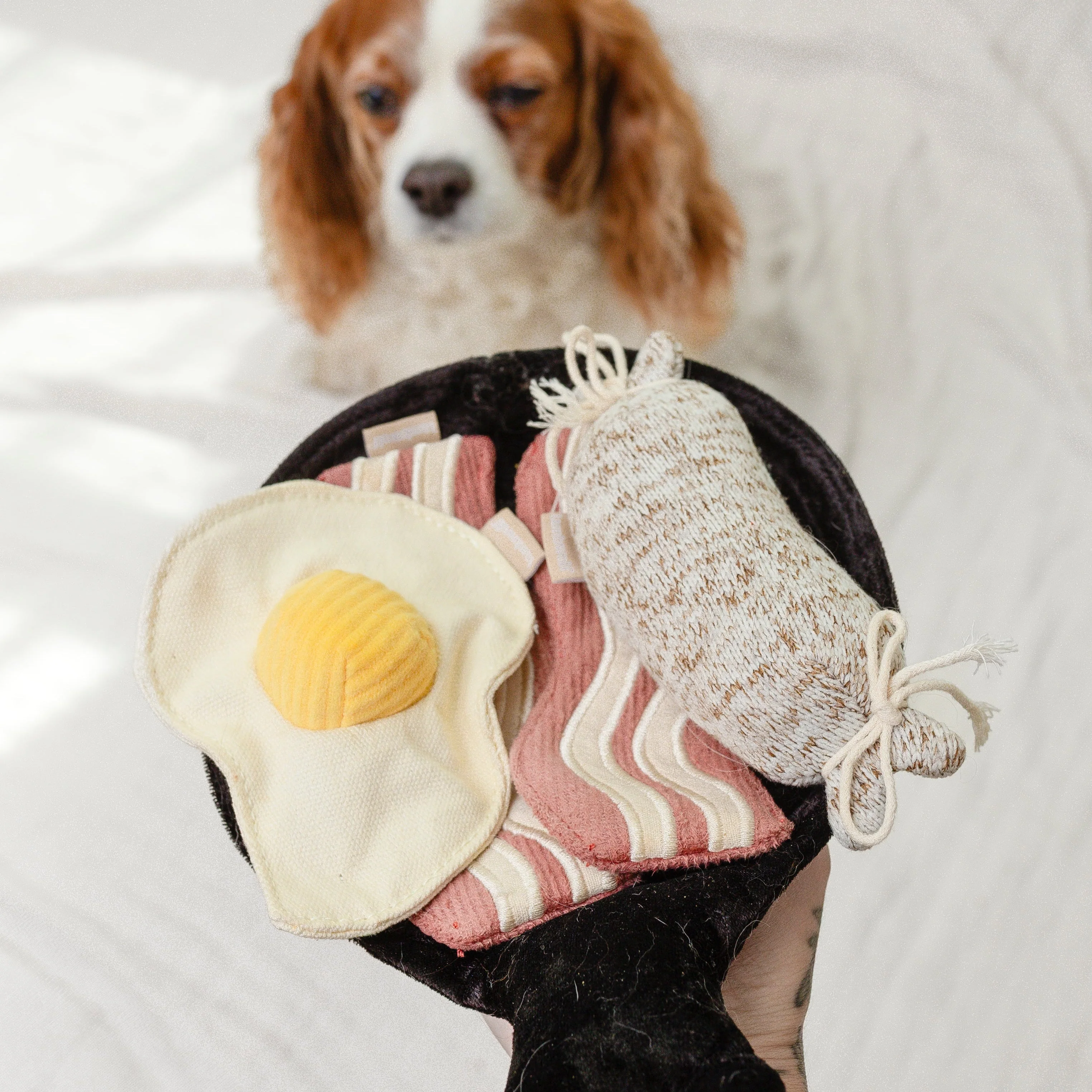 Bfast Set - Image 4