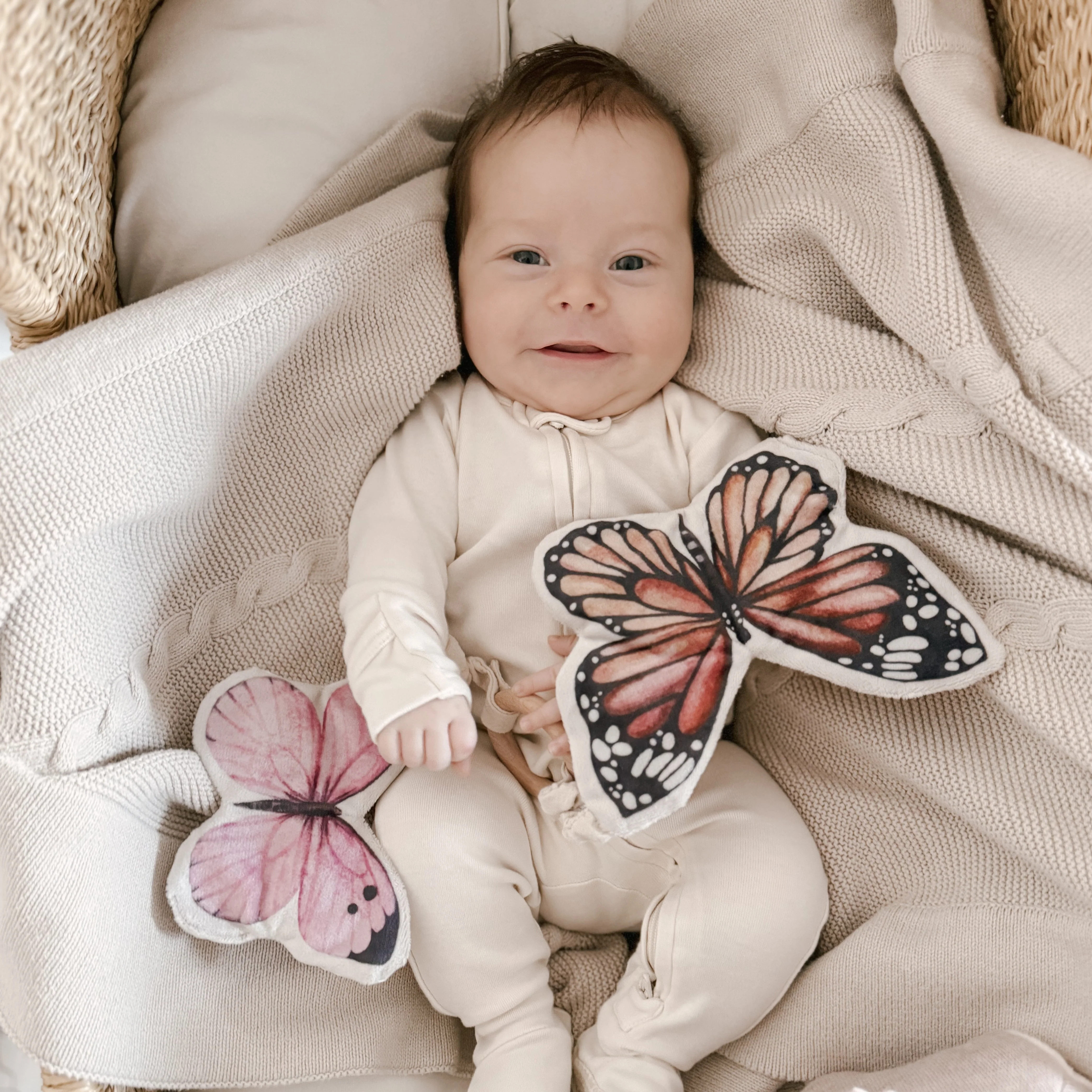 BUTTERFLIES NUGGETS - Image 4