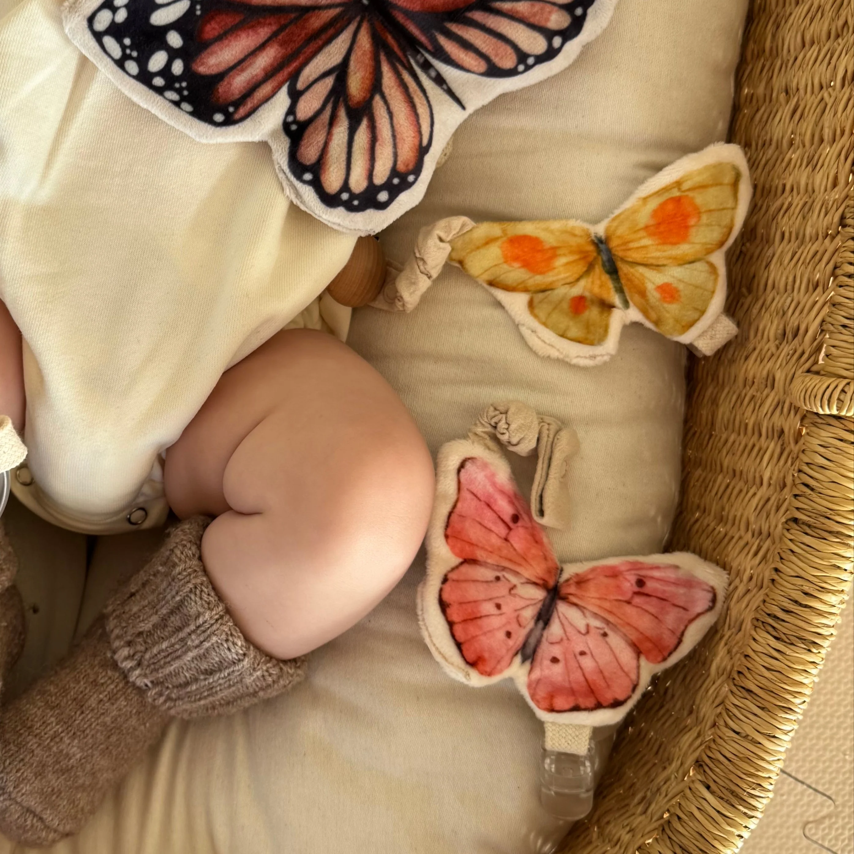 BUTTERFLY PACI FRIENDS - Image 4