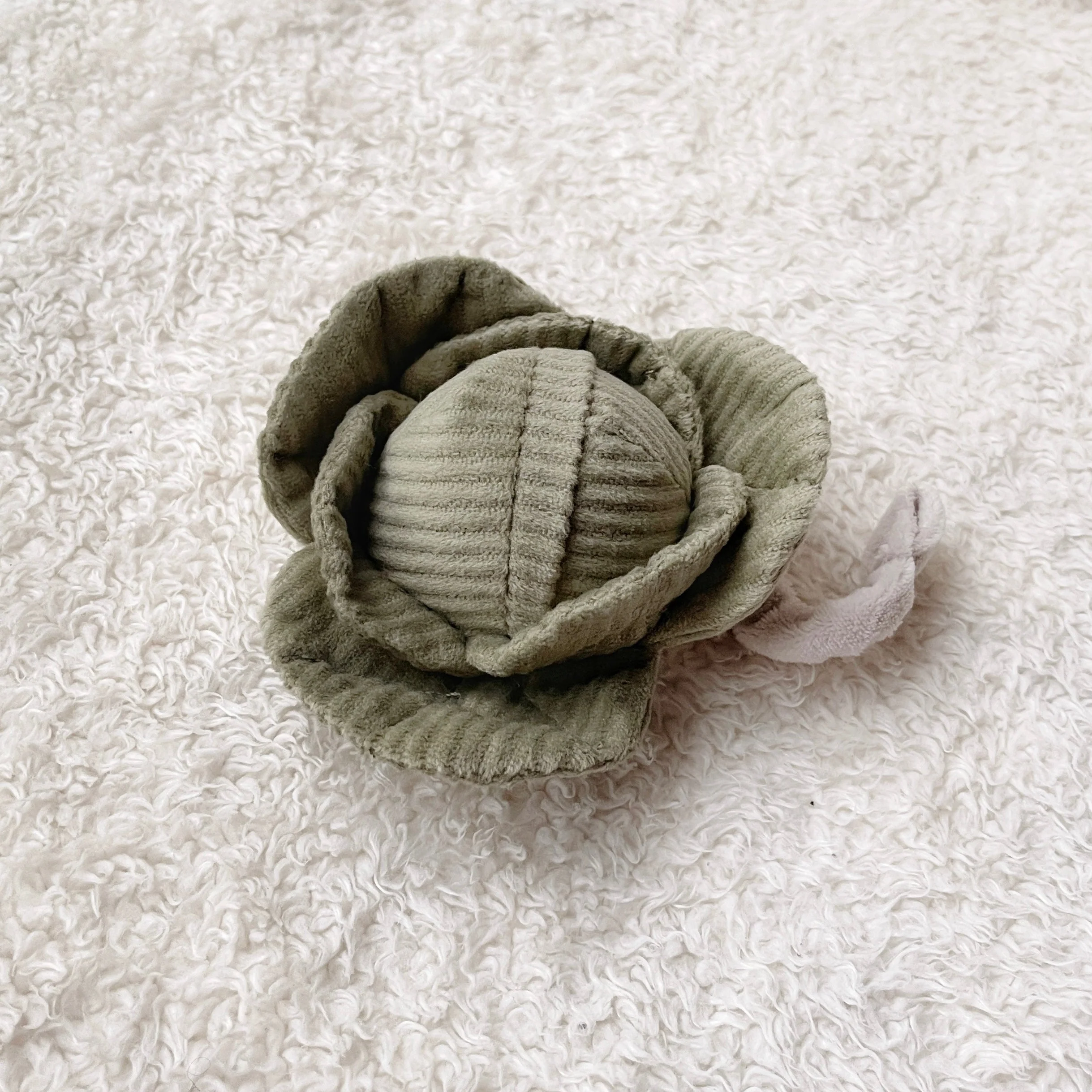 CABBAGE - Image 3