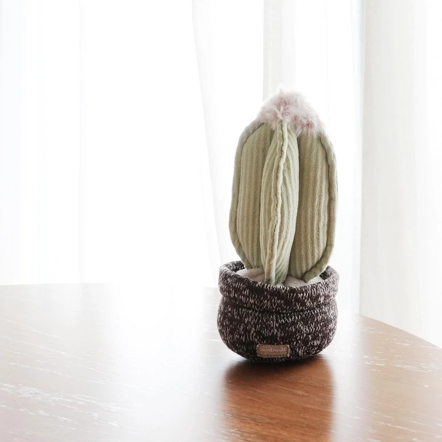CACTUS - Image 7