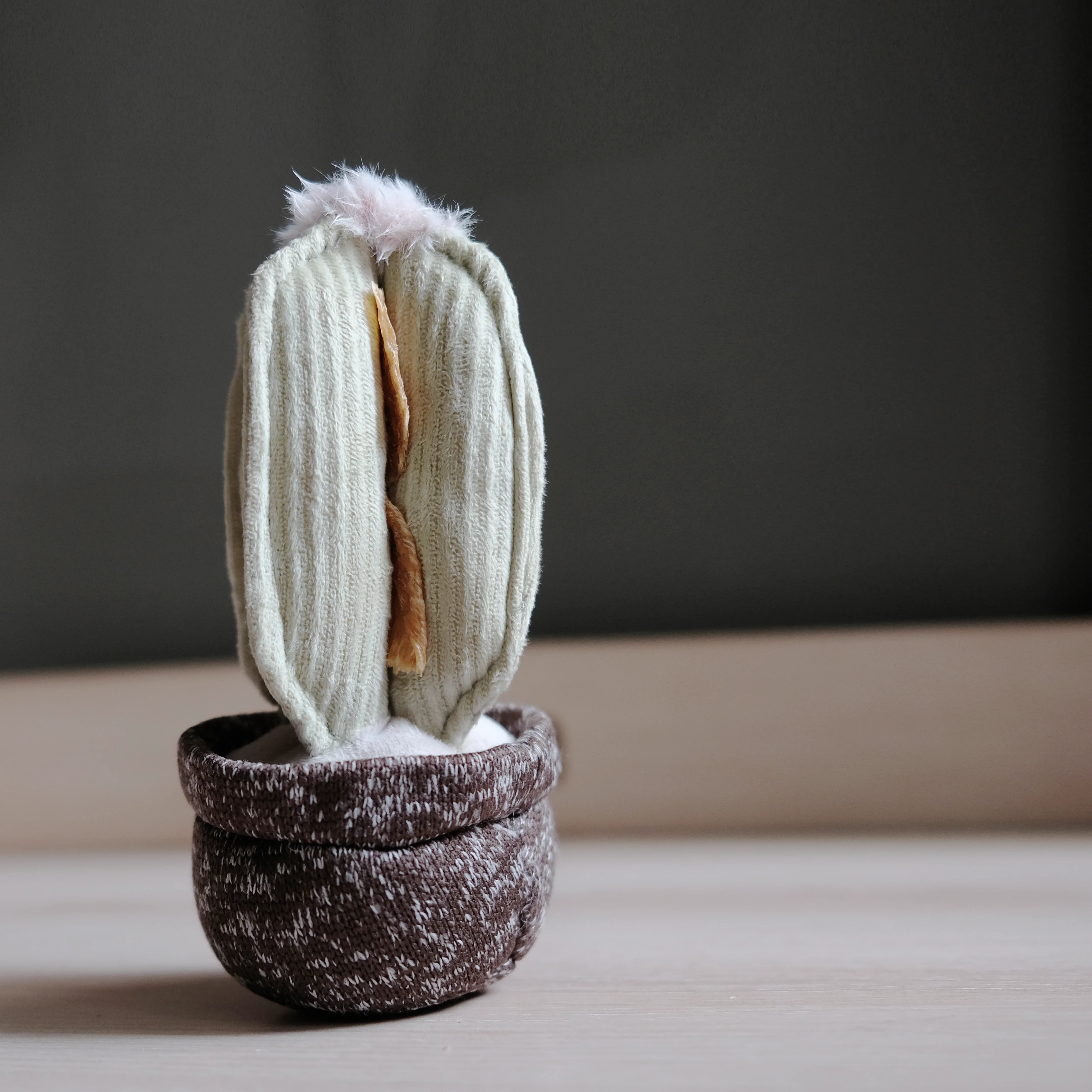 CACTUS - Image 8