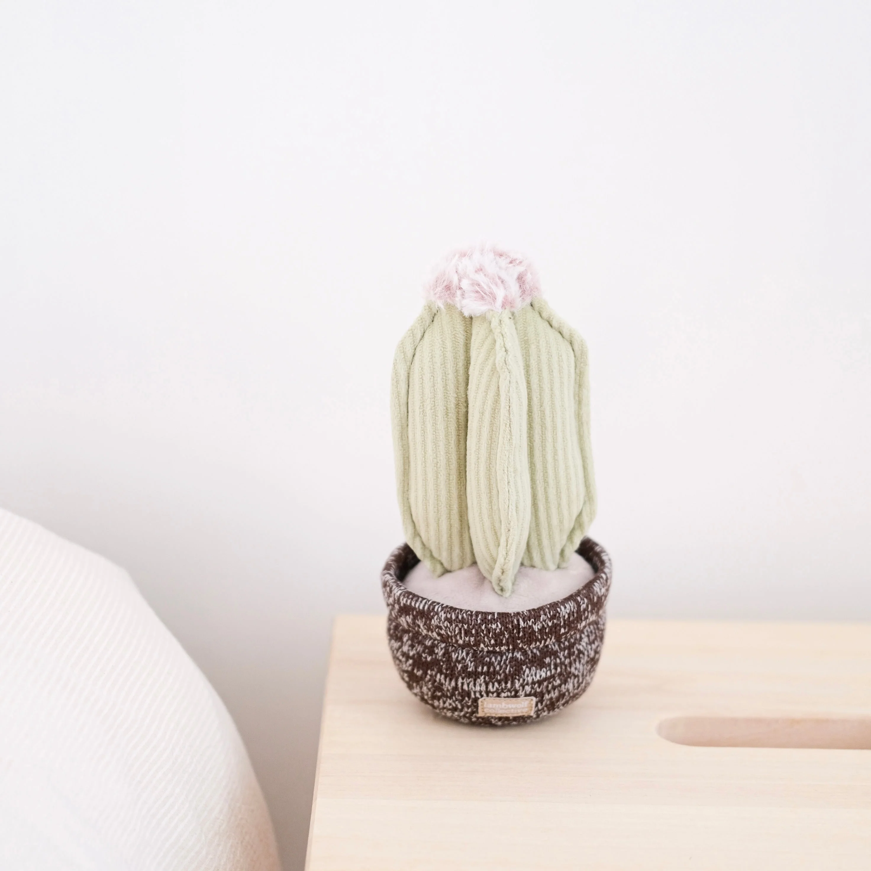 CACTUS - Image 9
