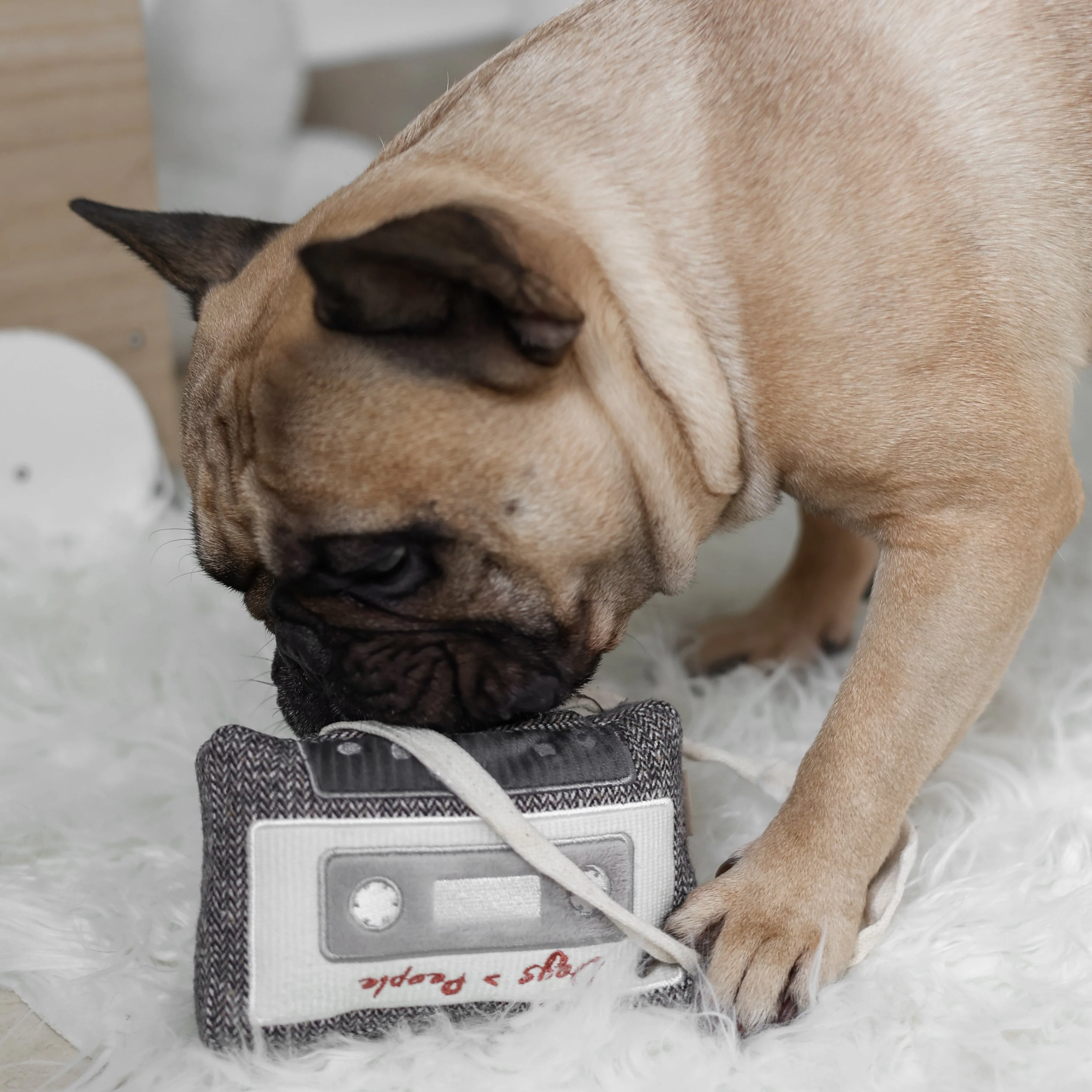 CASSETTE - Image 10