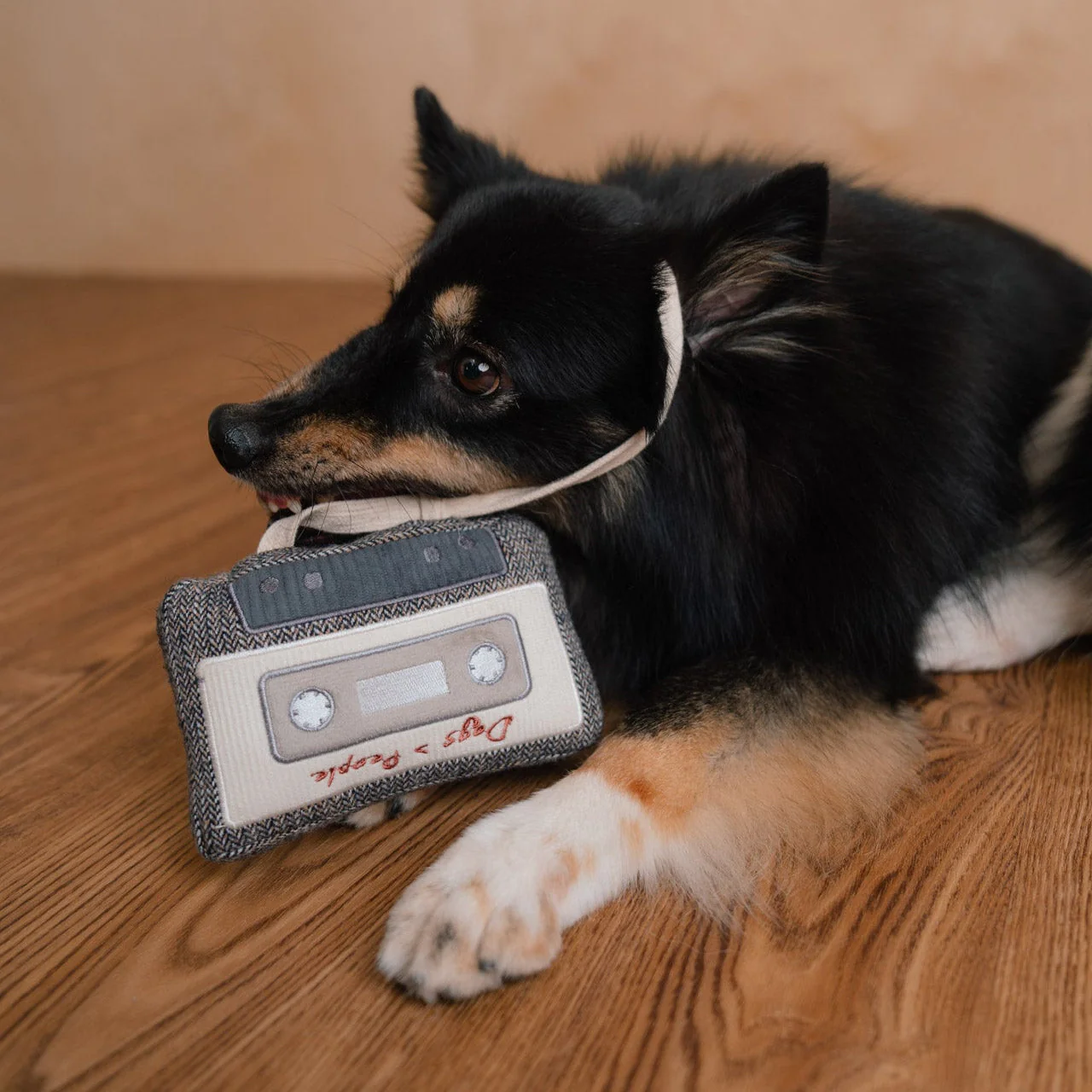 CASSETTE - Image 15