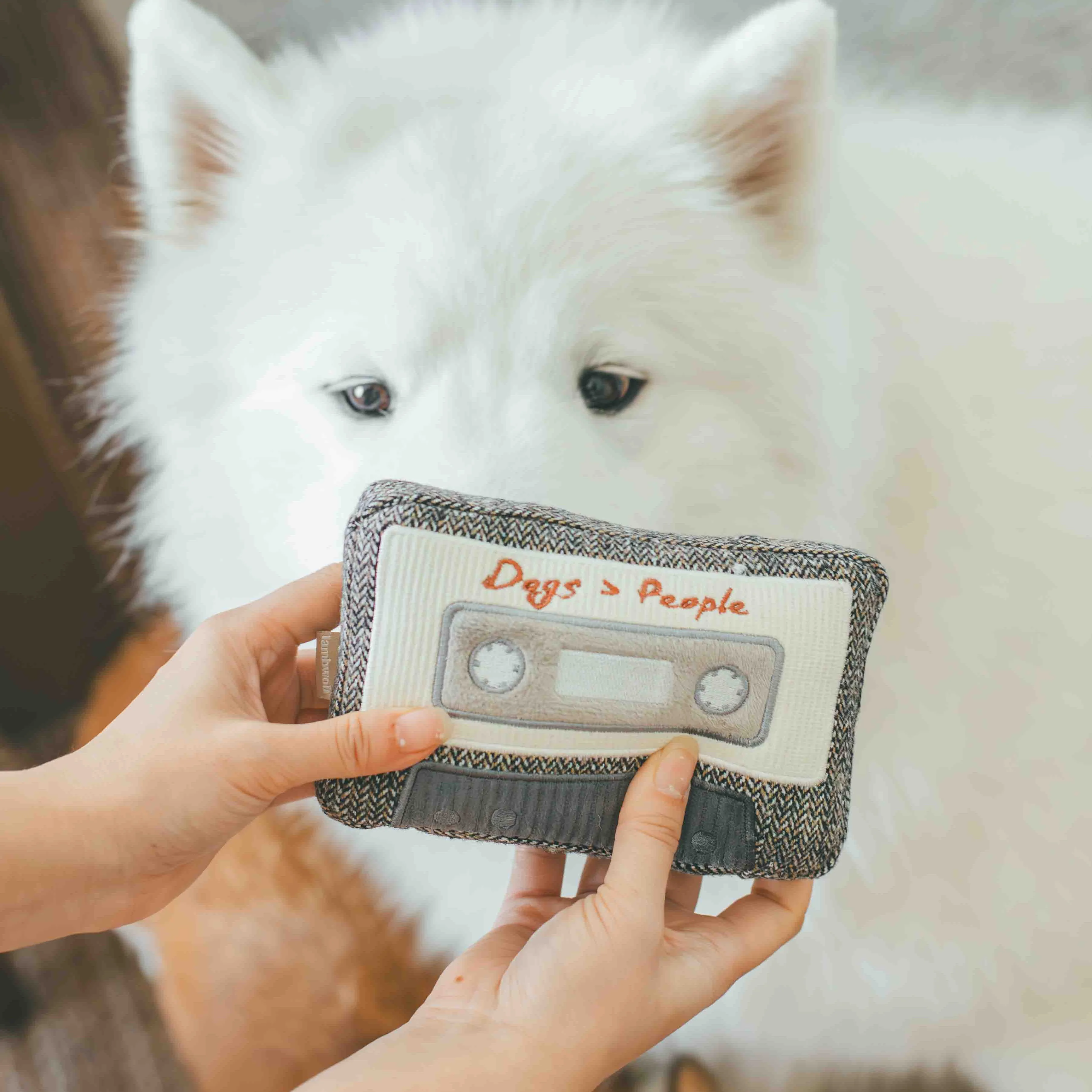CASSETTE - Image 6