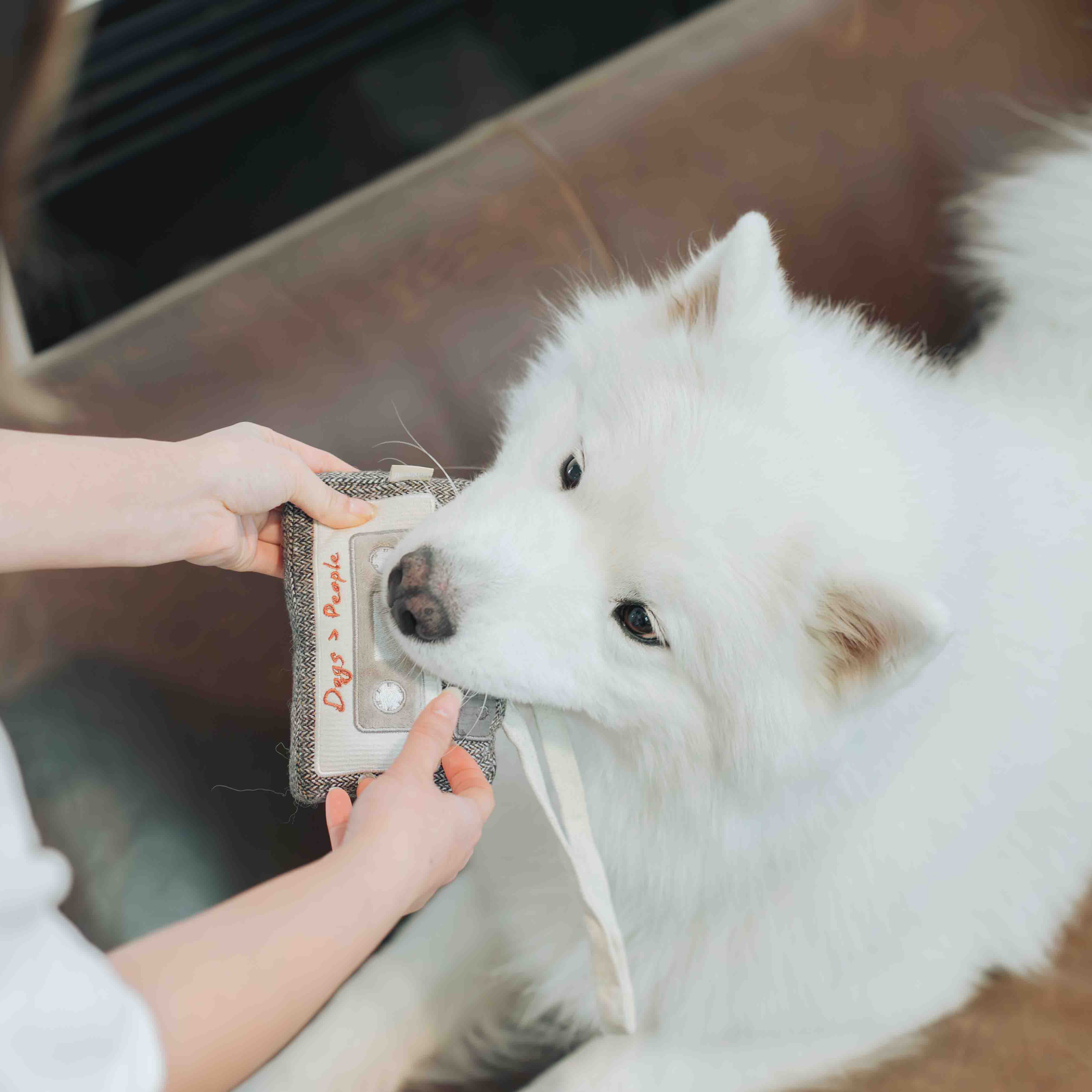 CASSETTE - Image 8