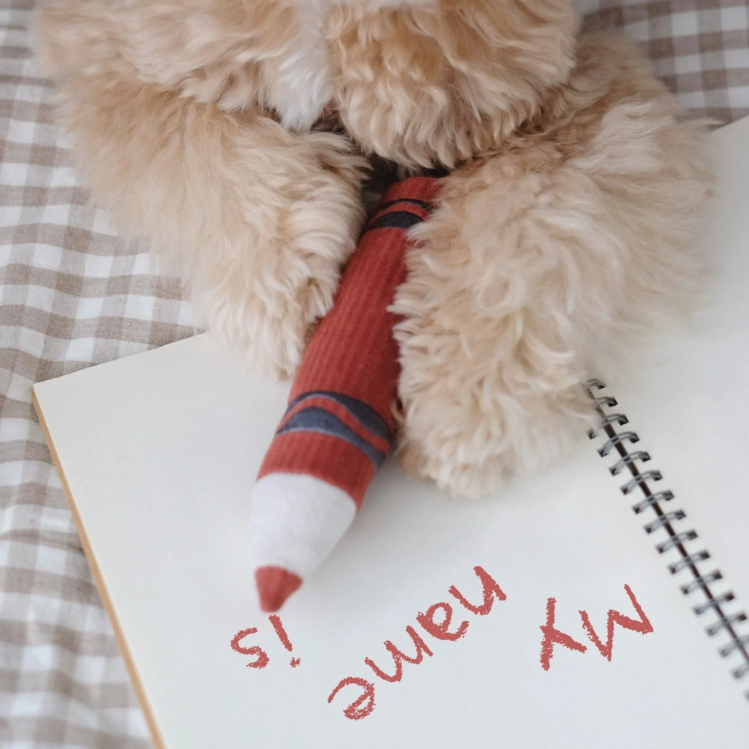 CRAYONS - Image 5