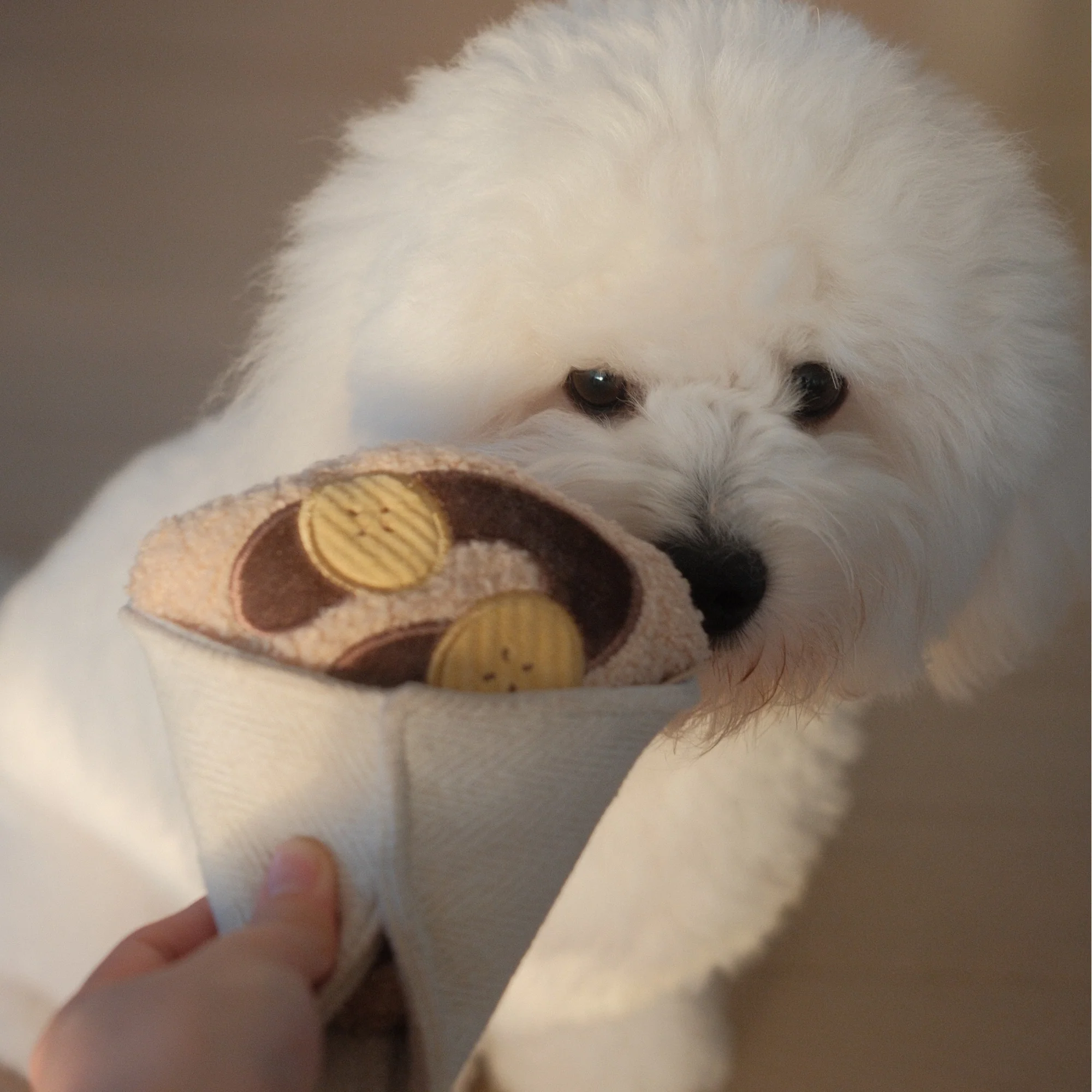 CREPE - Image 5
