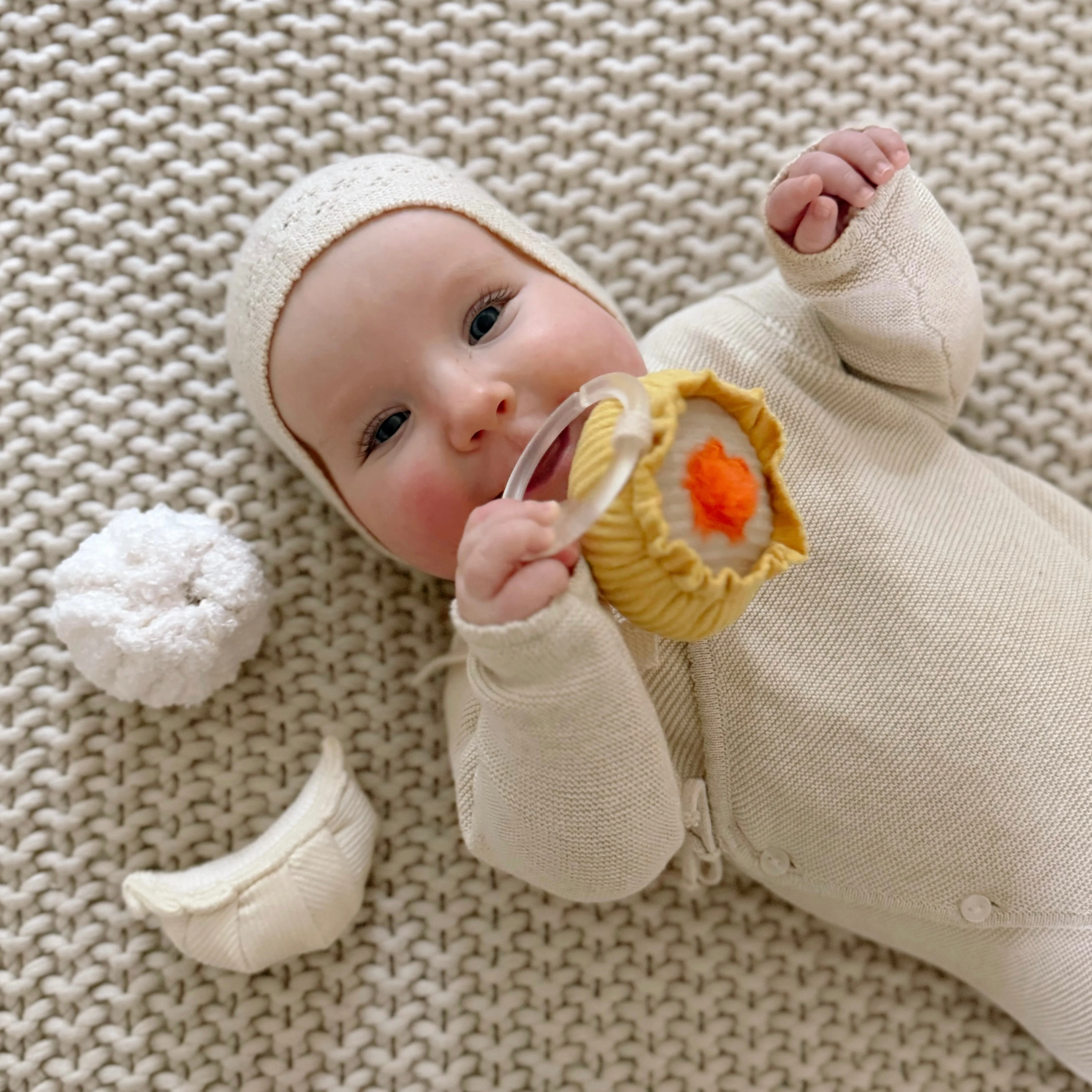 DIM SUM Rattle - Image 4