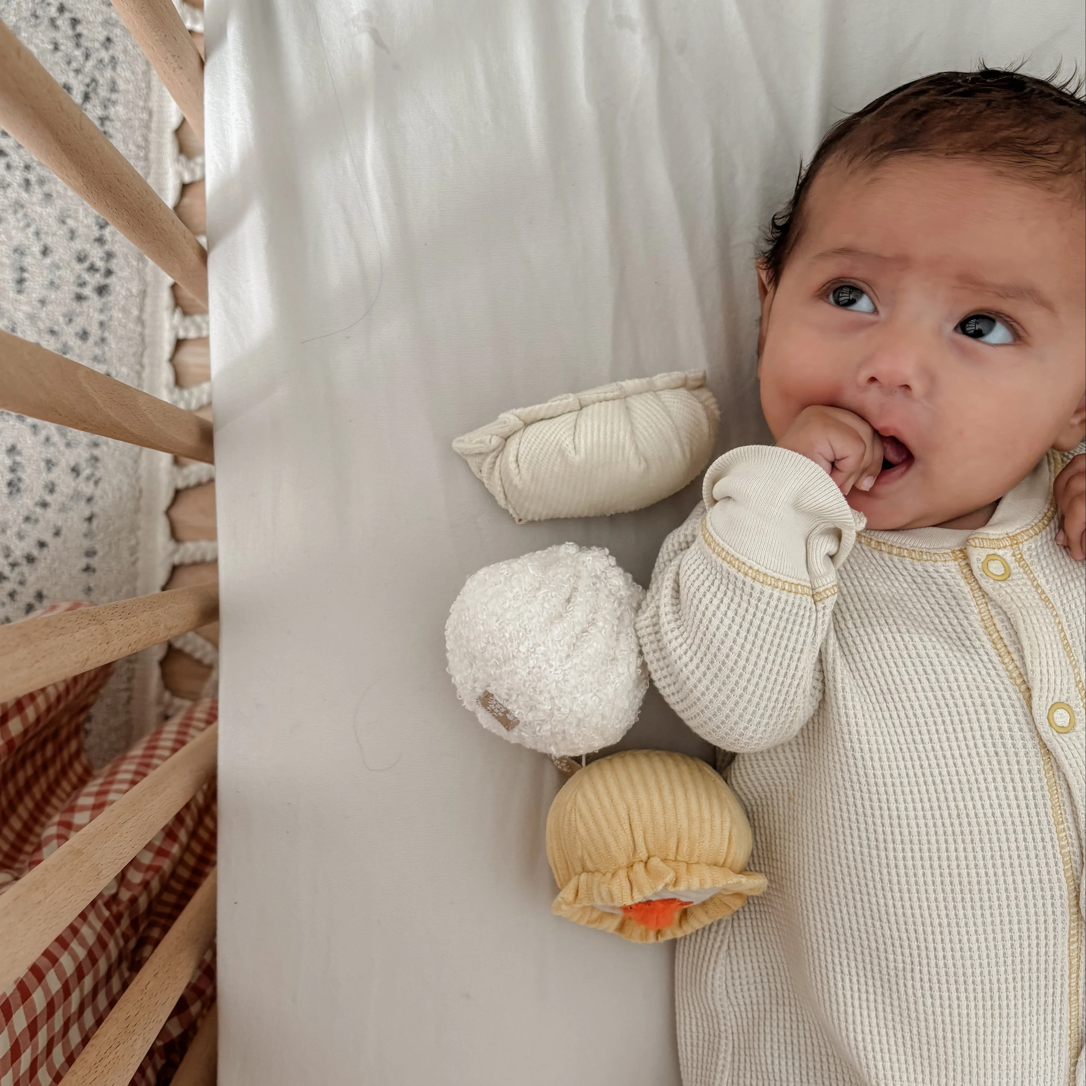 DIM SUM Rattle - Image 7