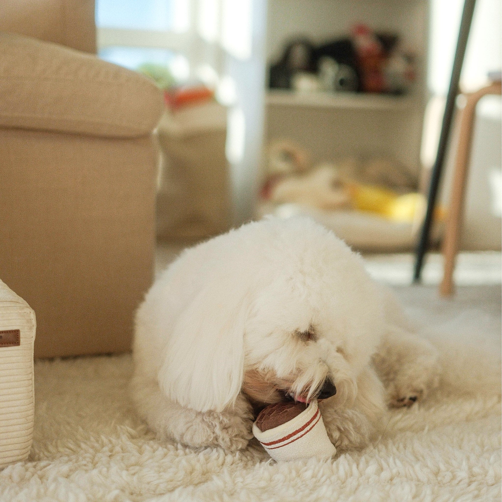 EXPRESSO POP - Image 3
