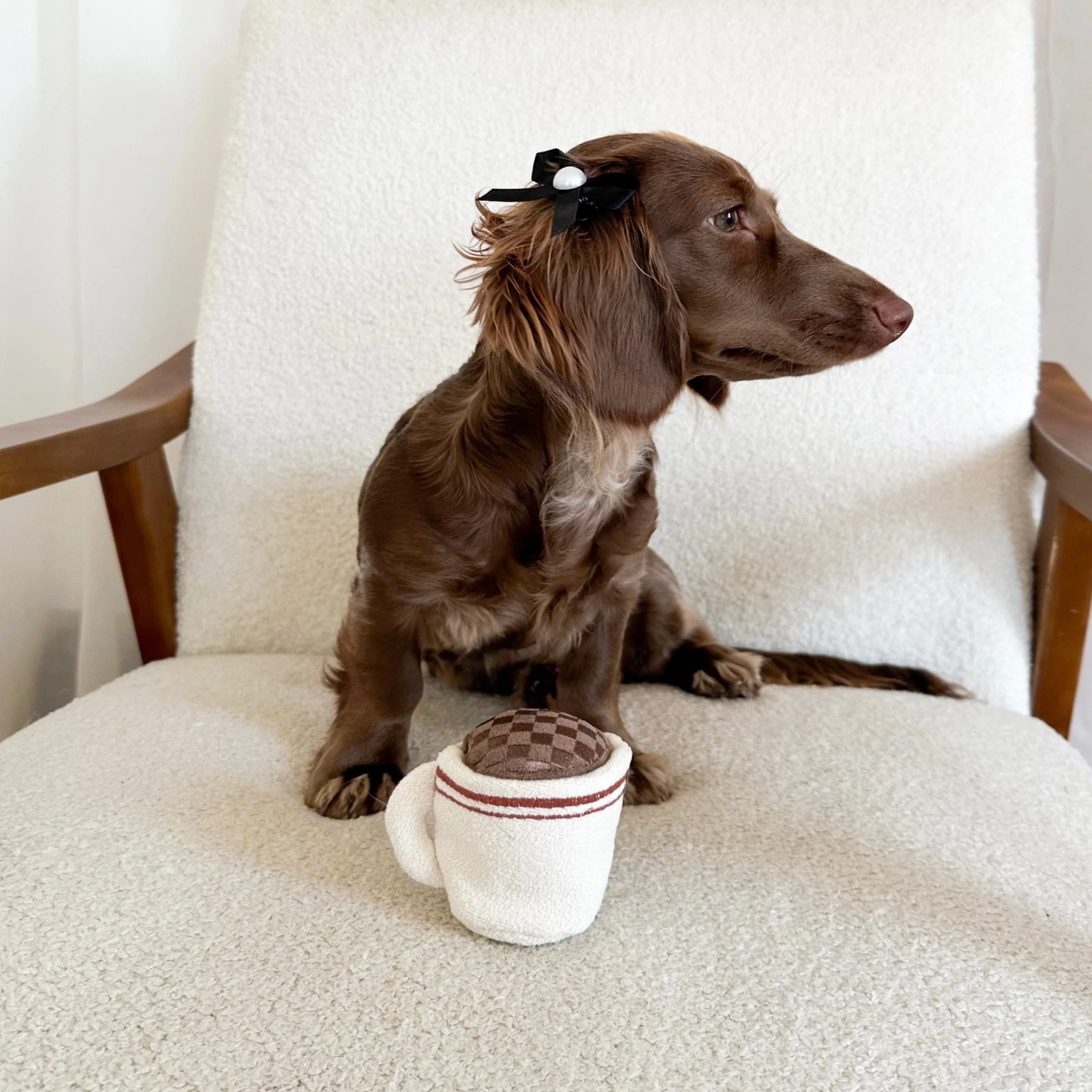 EXPRESSO POP - Image 7