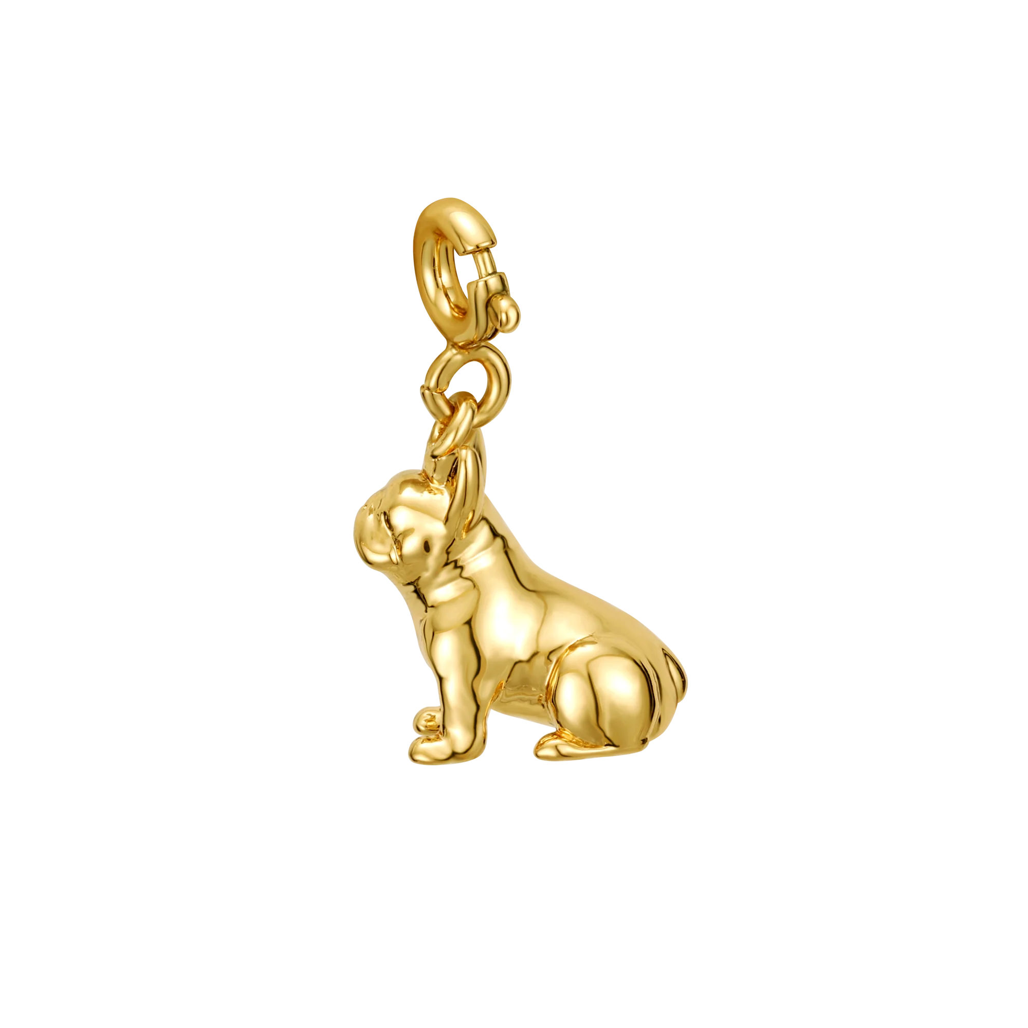 Frenchie - Image 2