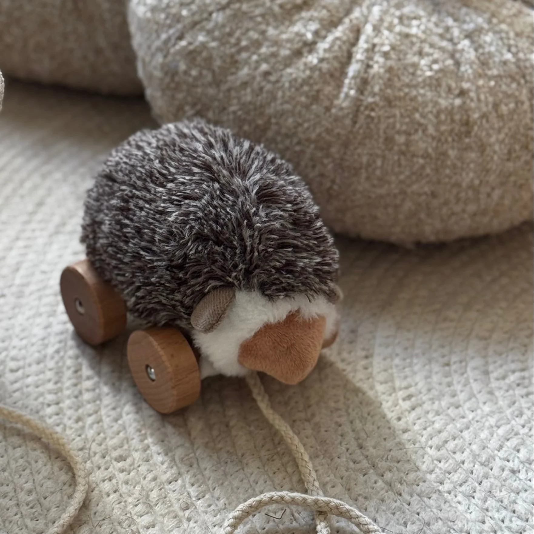 Hedgie - Image 10
