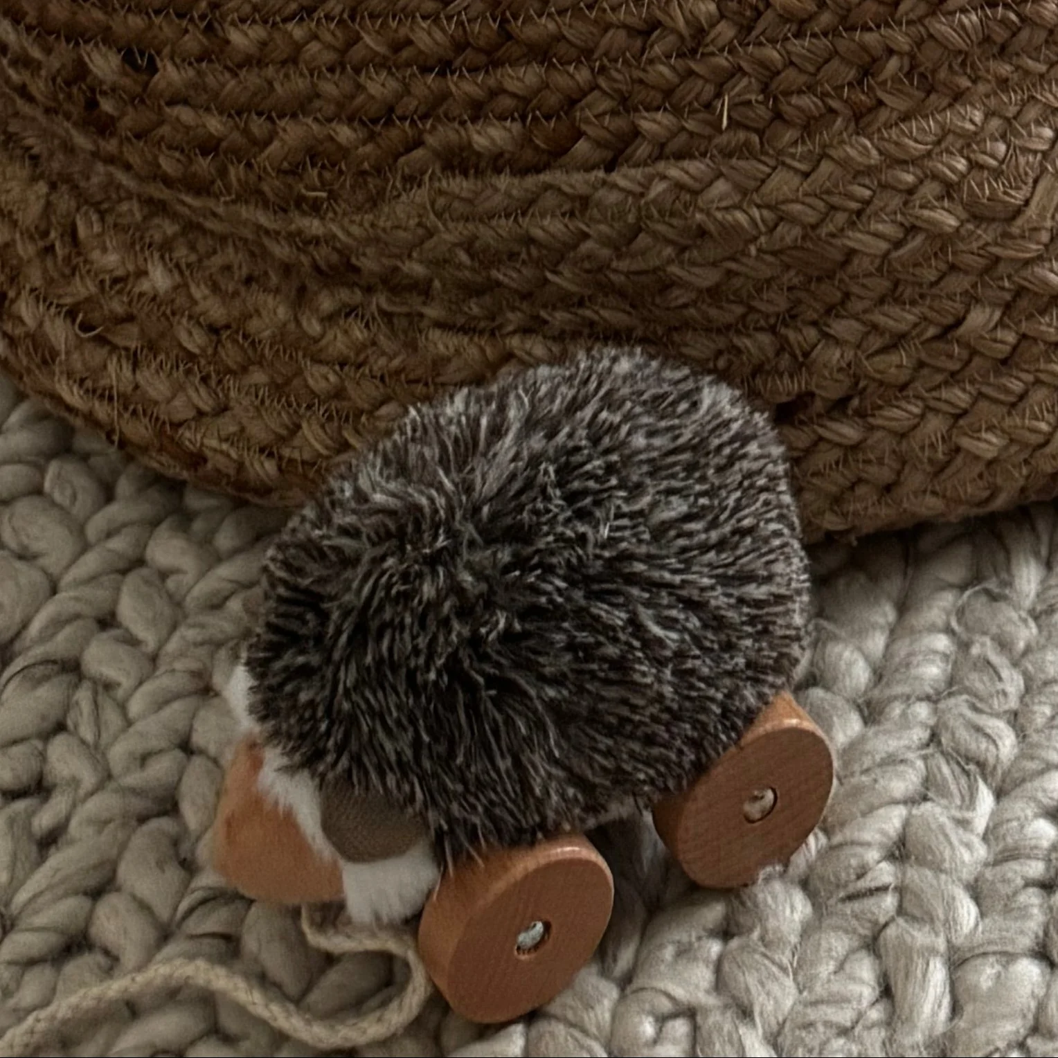 Hedgie - Image 11