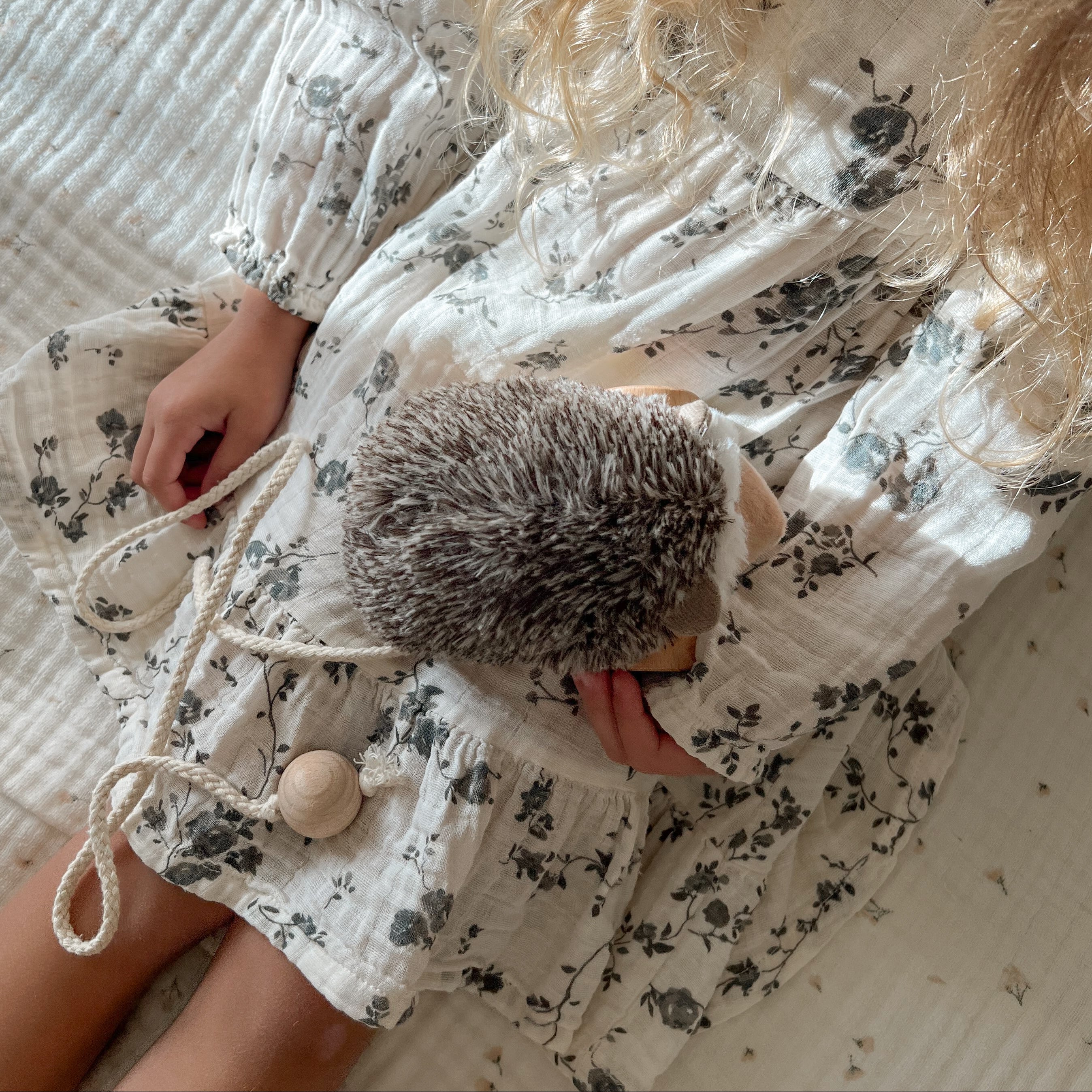 Hedgie - Image 3
