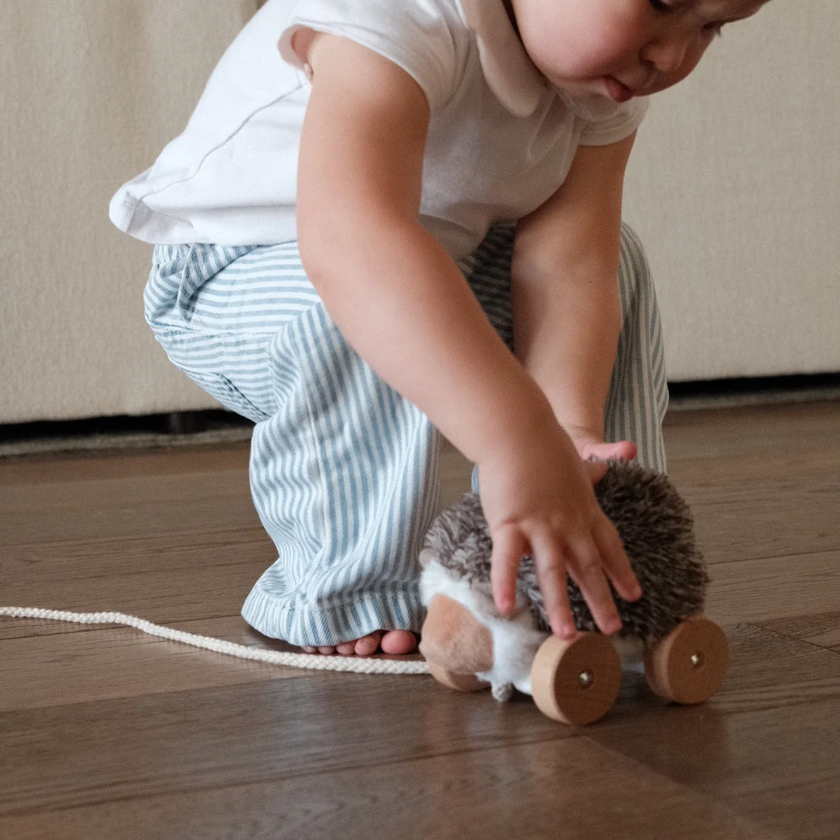 Hedgie - Image 6