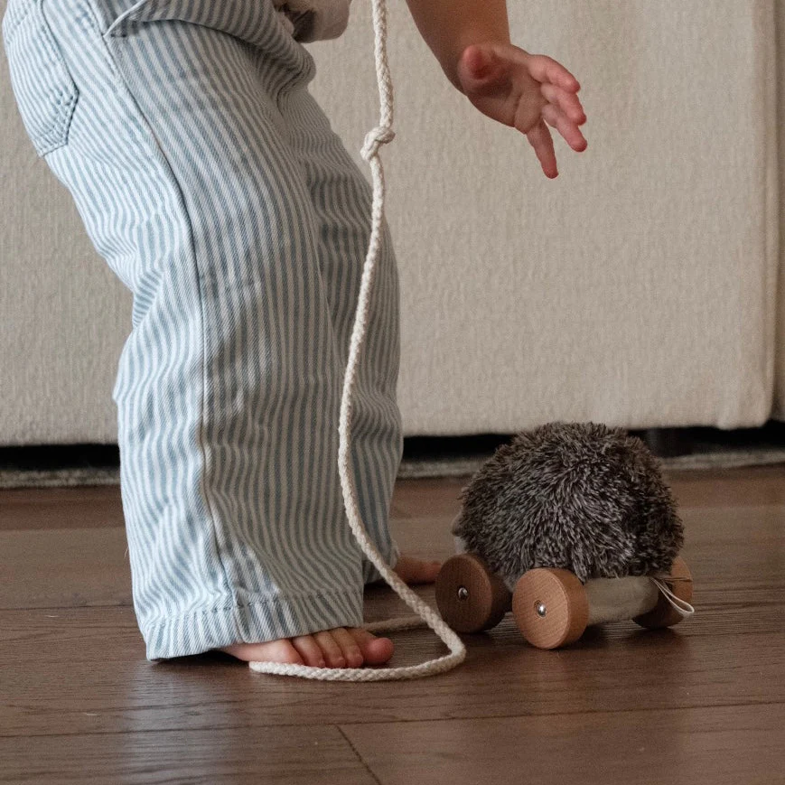 Hedgie - Image 7