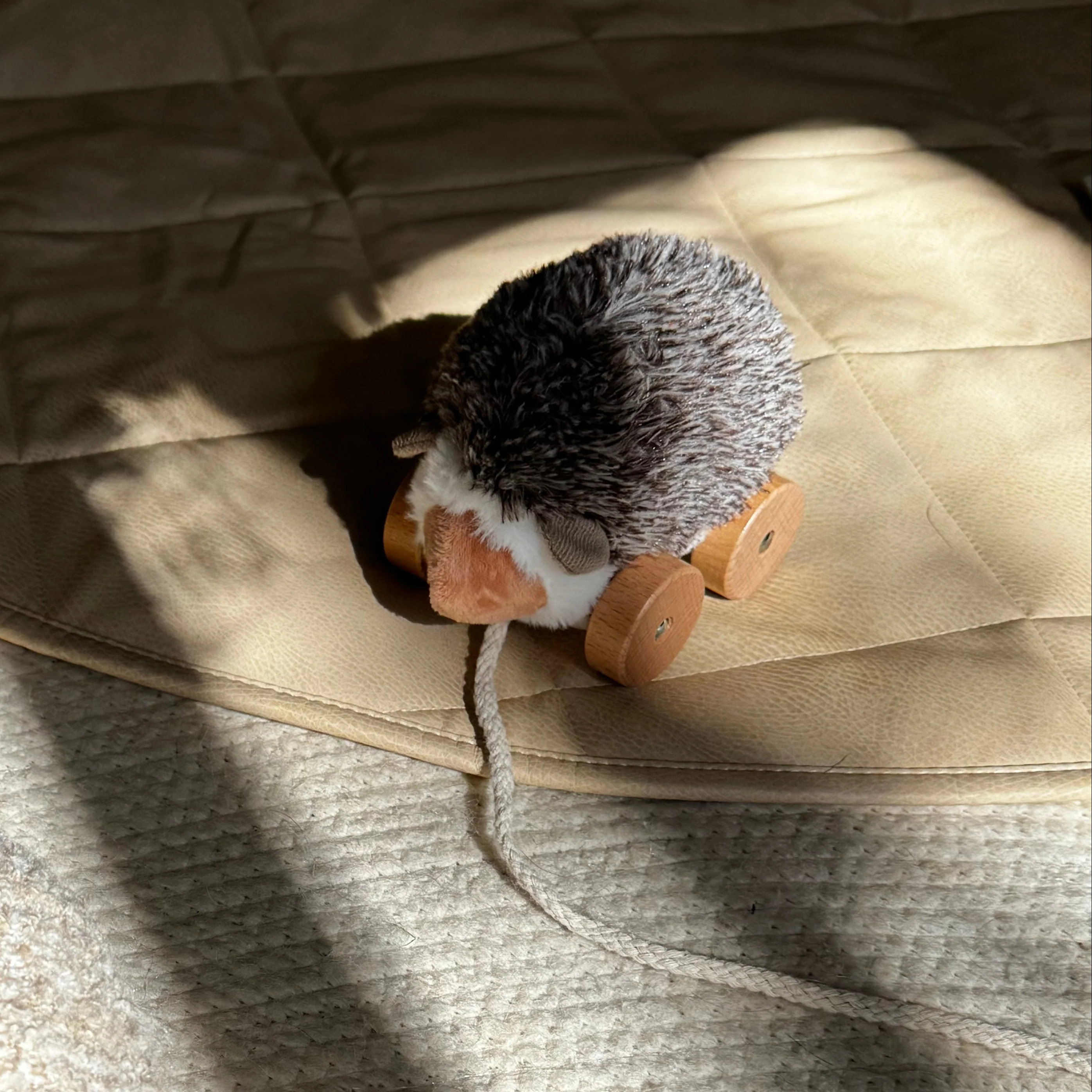 Hedgie - Image 9