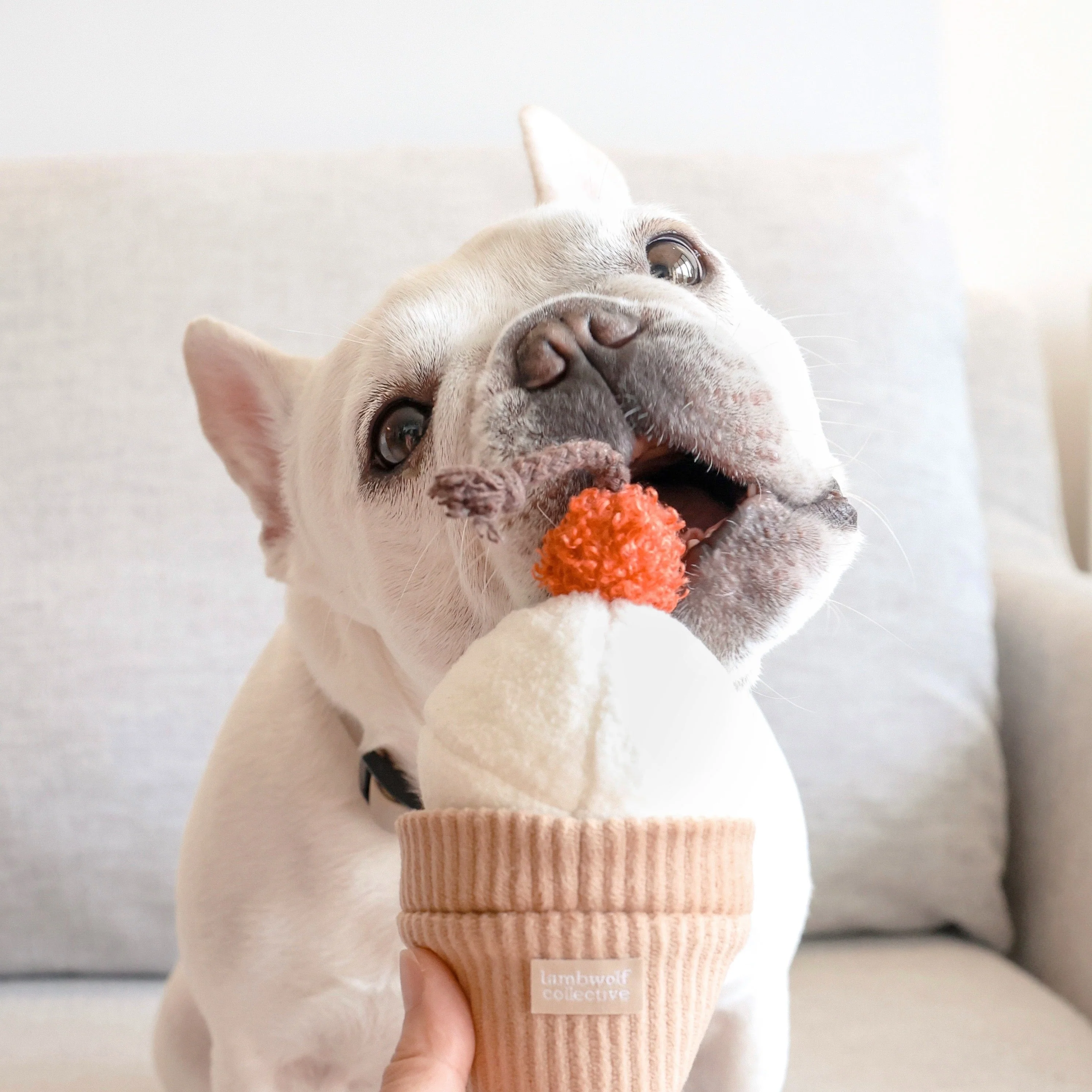 Ice Cream POP - Image 4