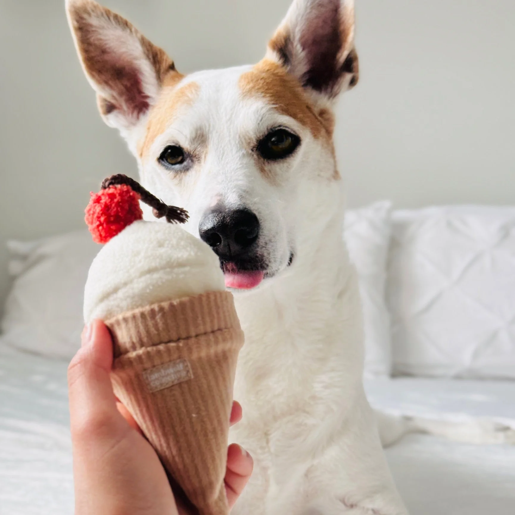 Ice Cream POP - Image 8